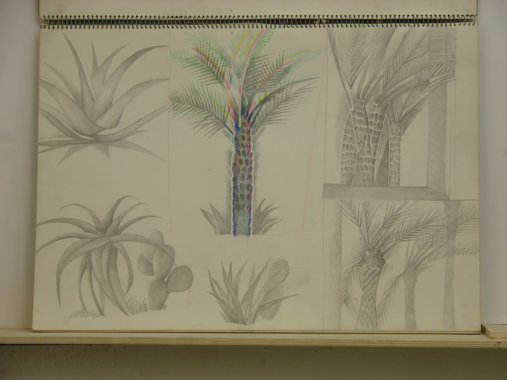 Lápiz/papel.-33,5x49,4cm