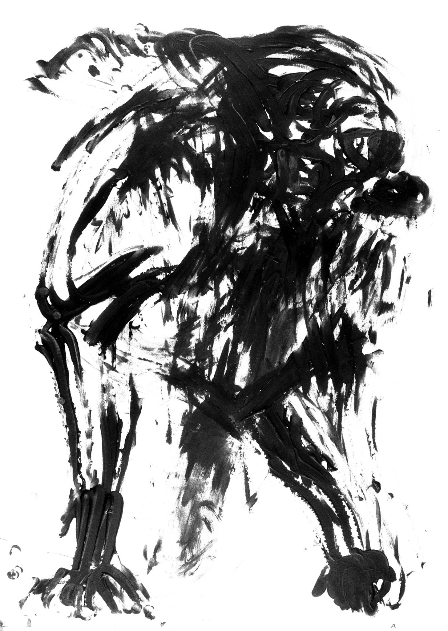 Acrílico/papel.- 65x50cm