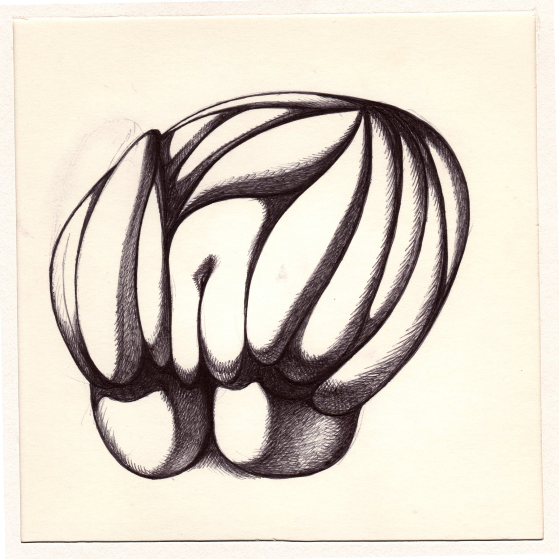 boligrafo/papel._ 14,3 x 14,3 cm