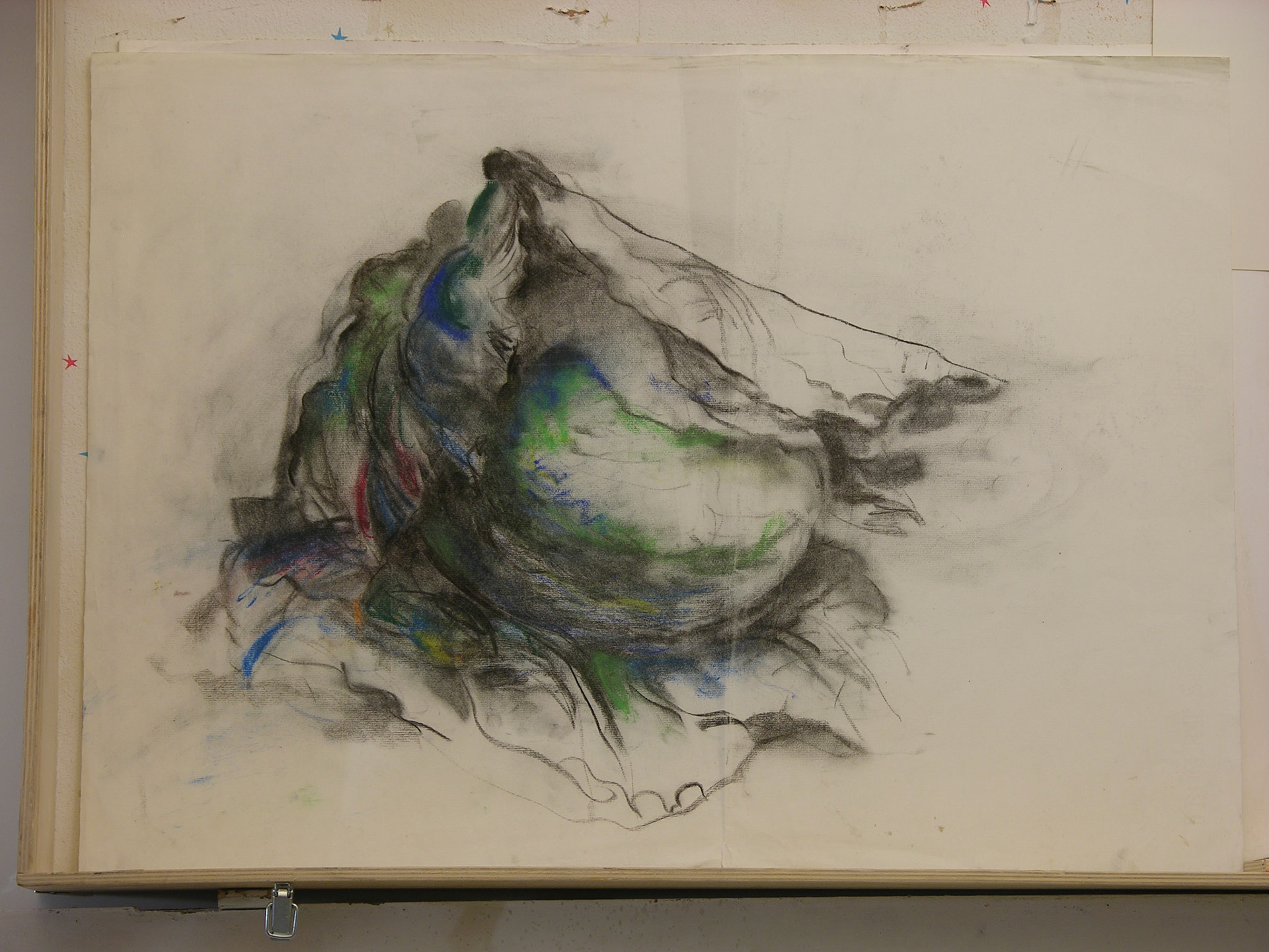 carboncillo, pastel/cartulina._ 50x69,5cm