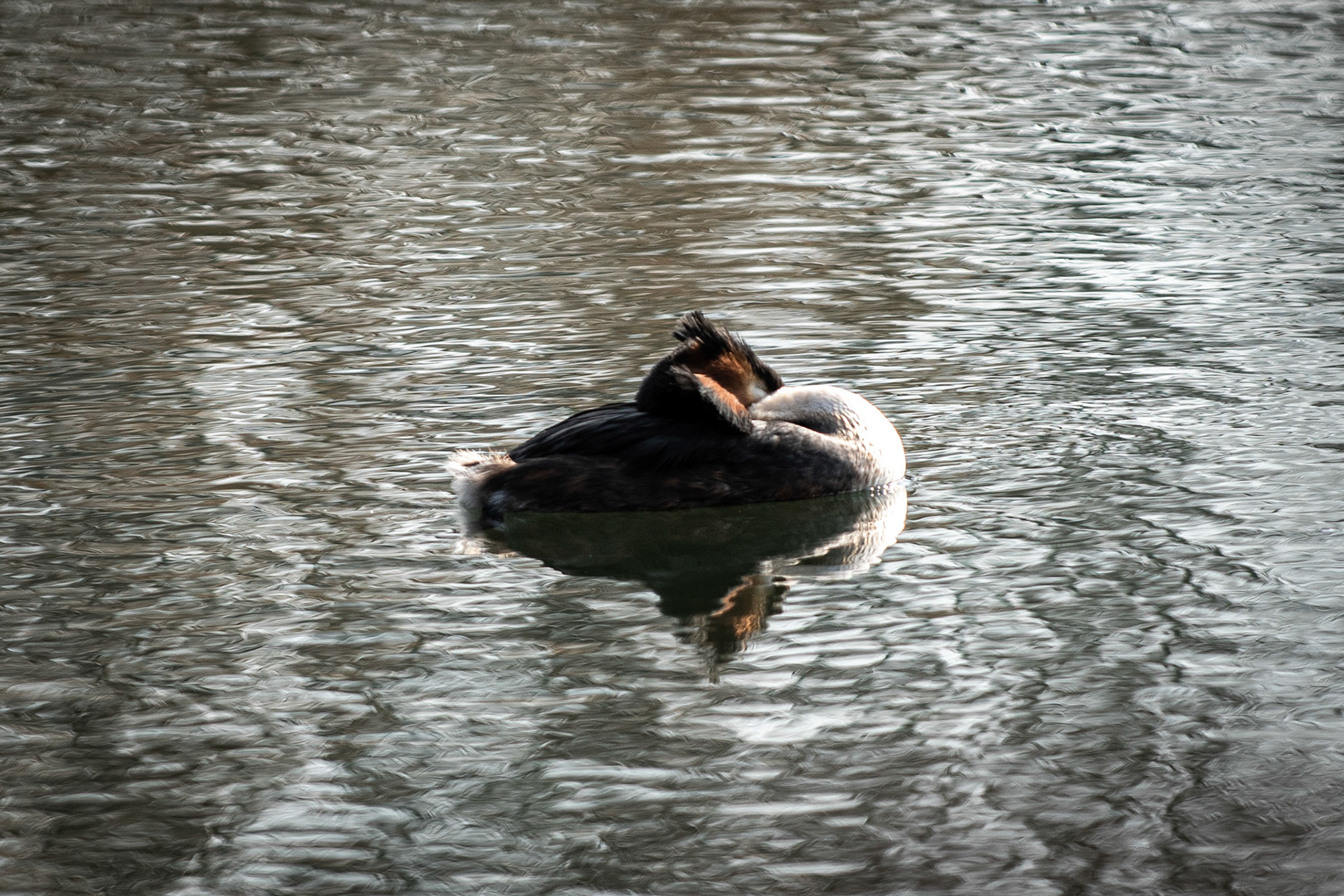 4aine - Luc Van Malderen