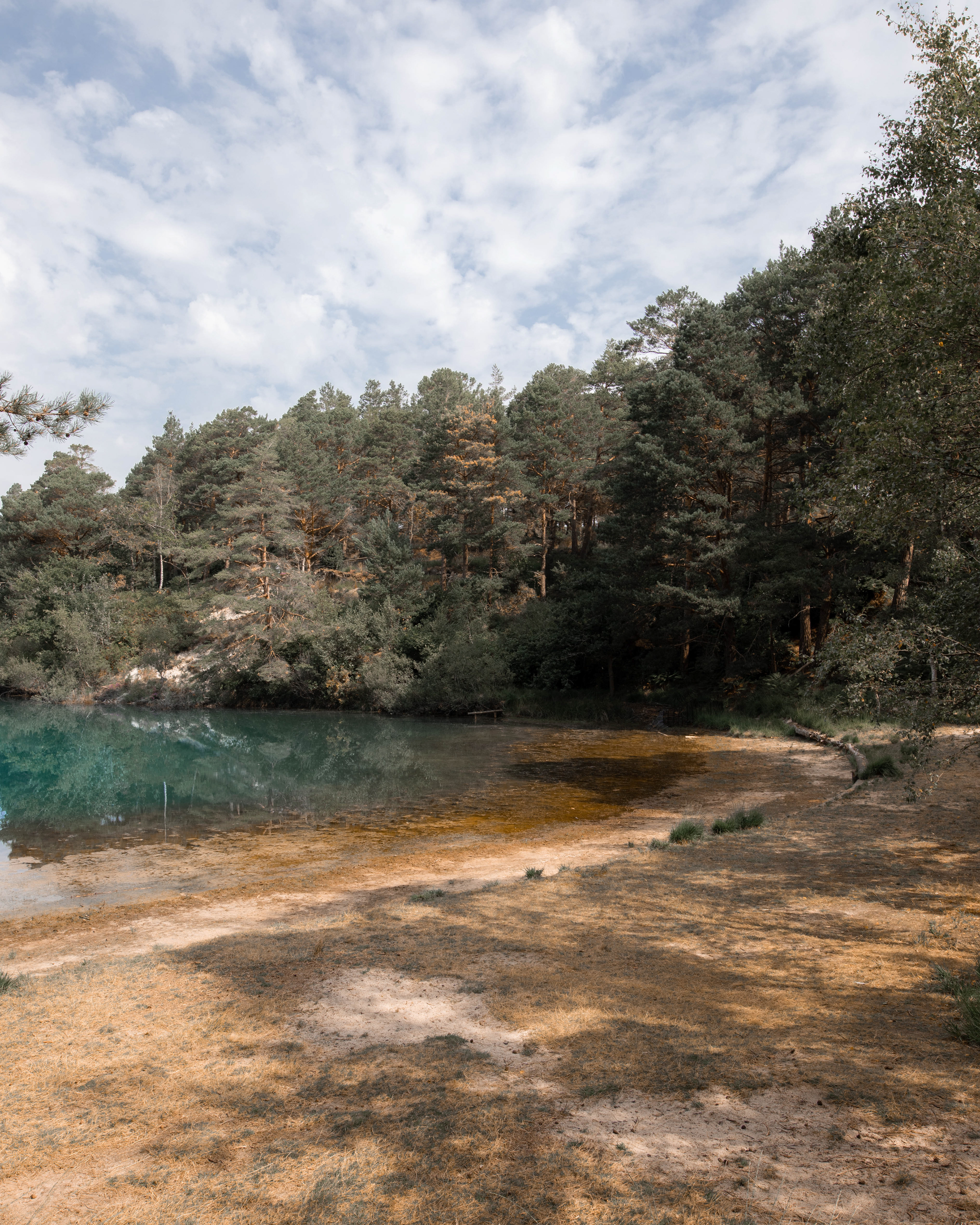 The banks of the lake