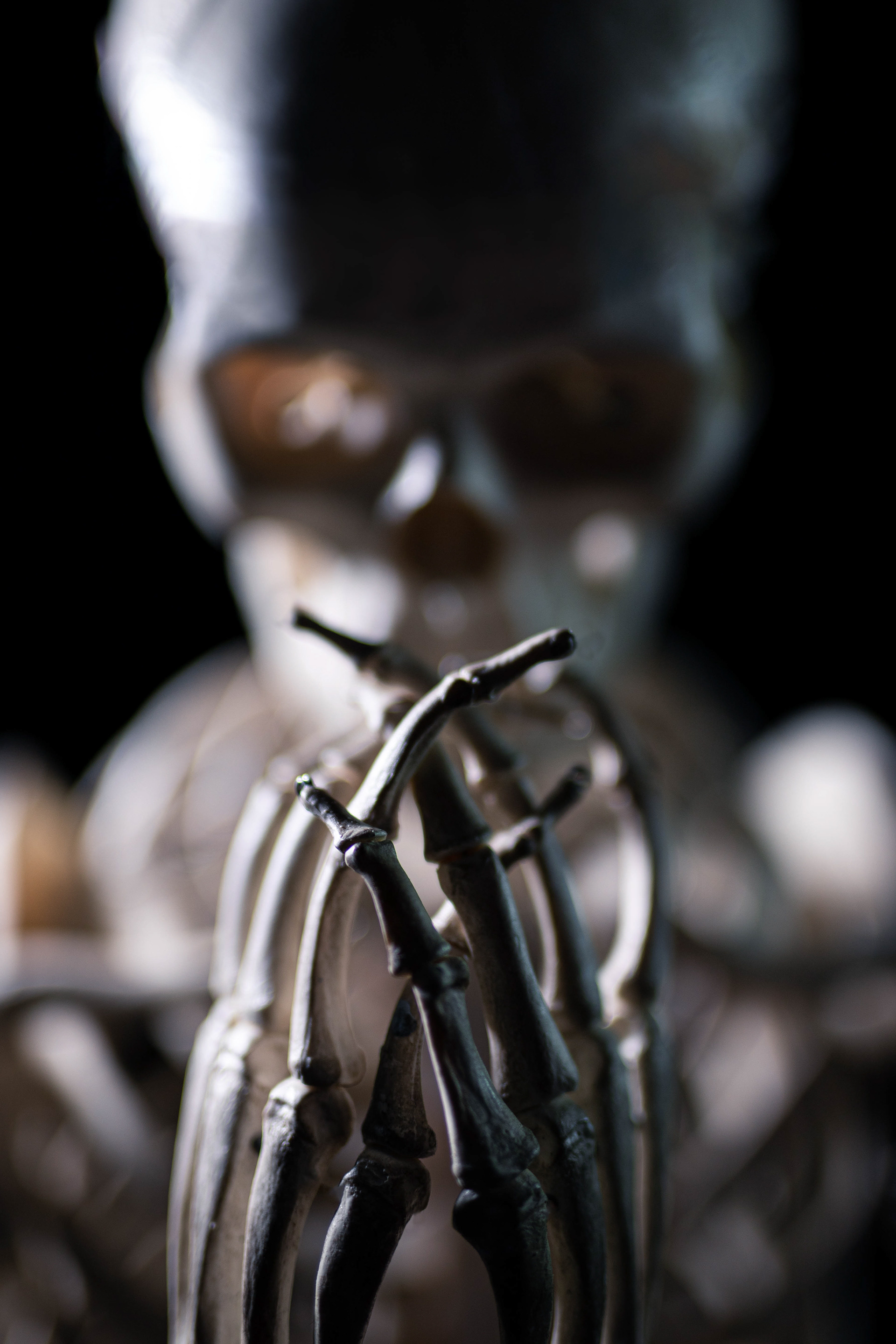 Dave the Skeleton