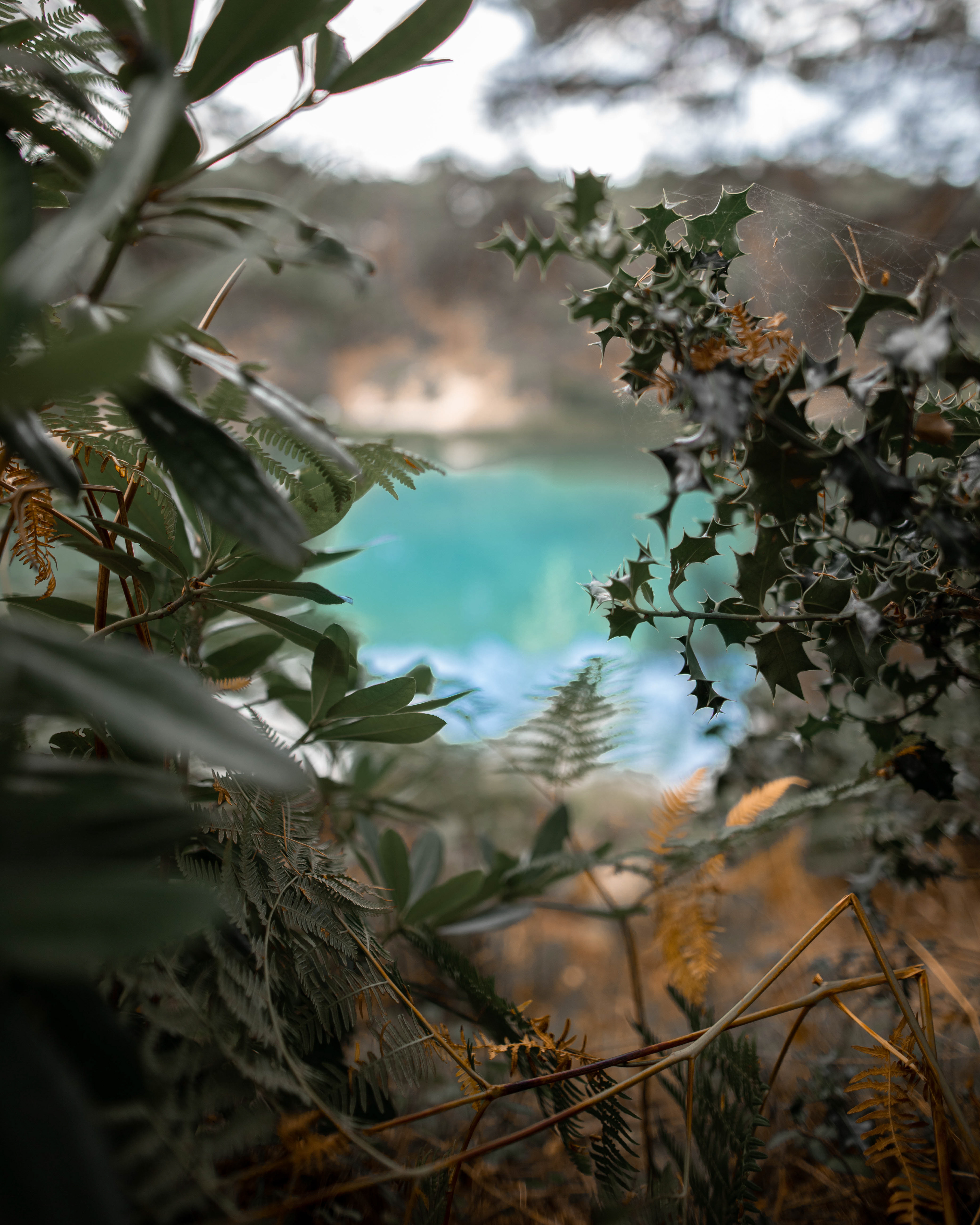 Blue Pool