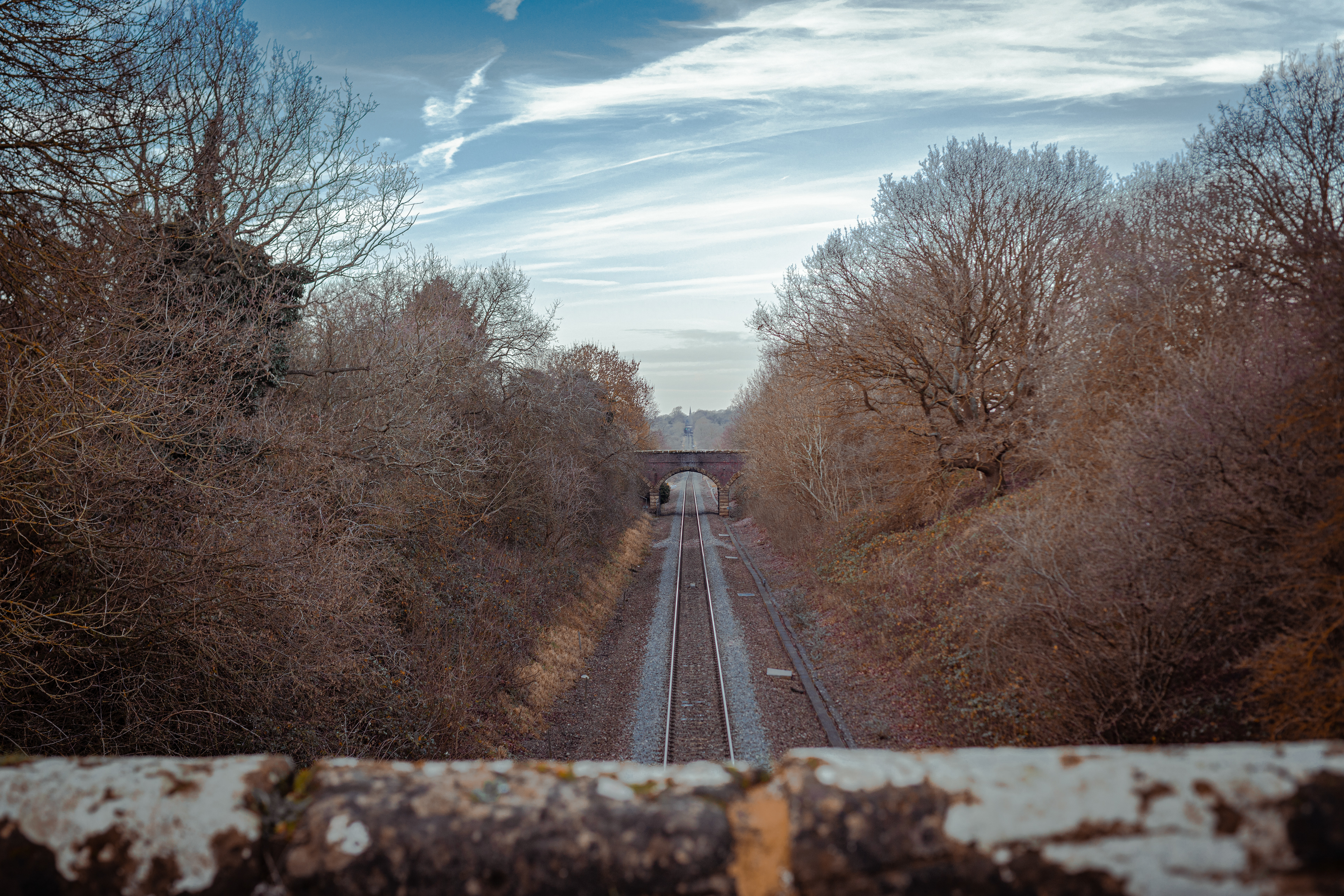 Train Tracks in Autumn