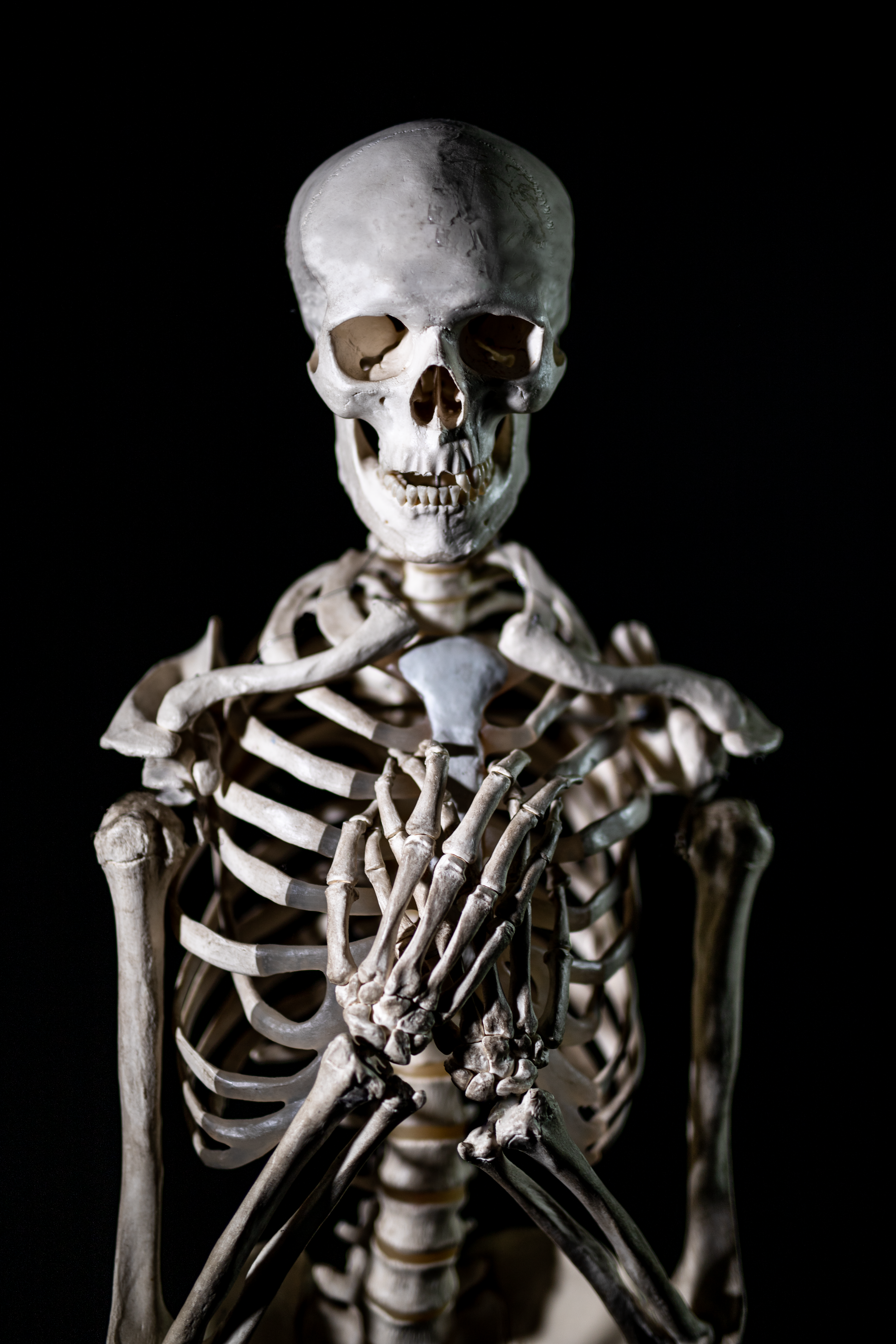 Dave the Skeleton