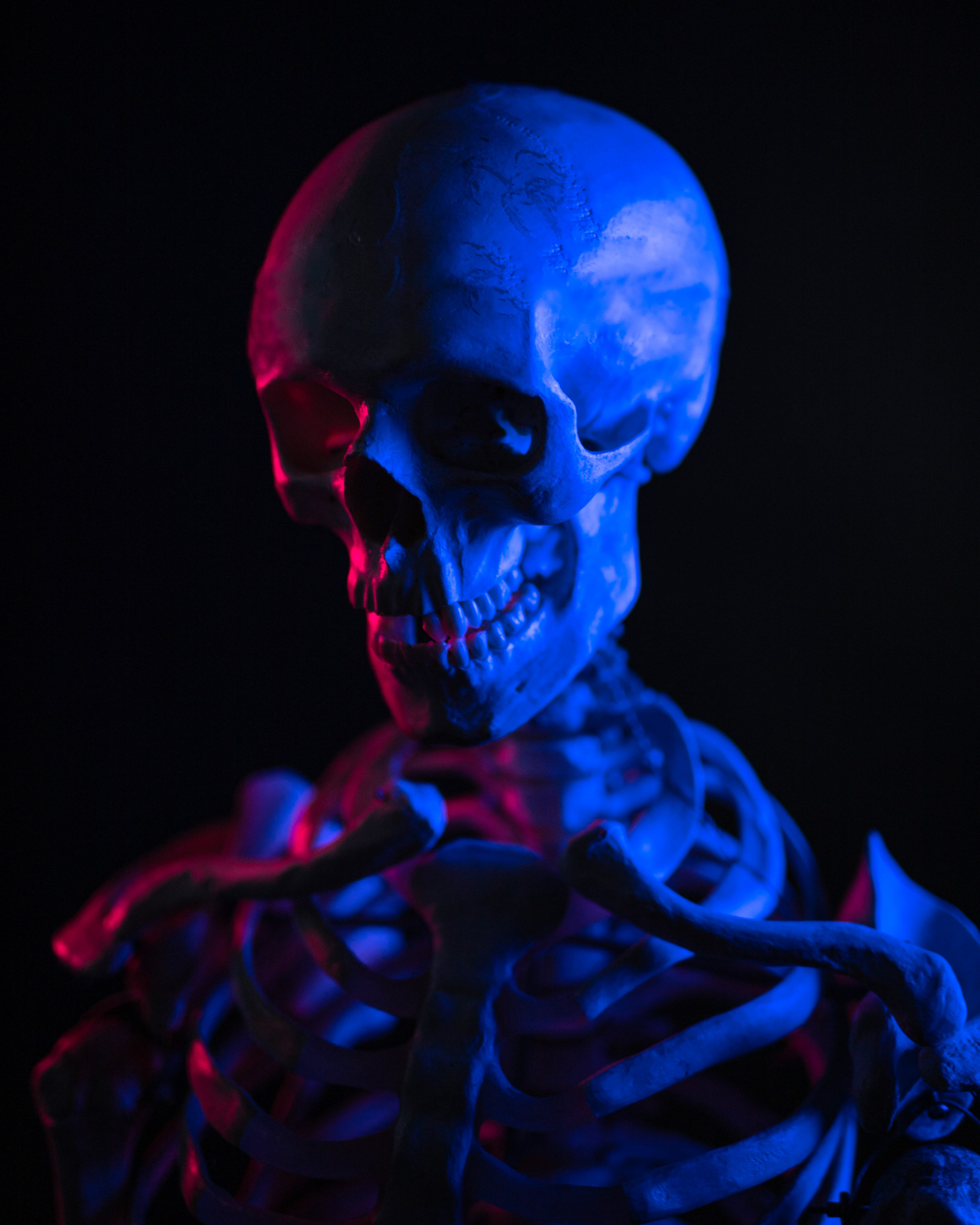 Dave the Skeleton