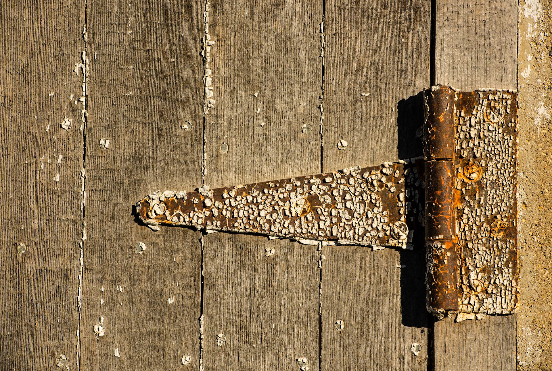 Patina Series - Hinge