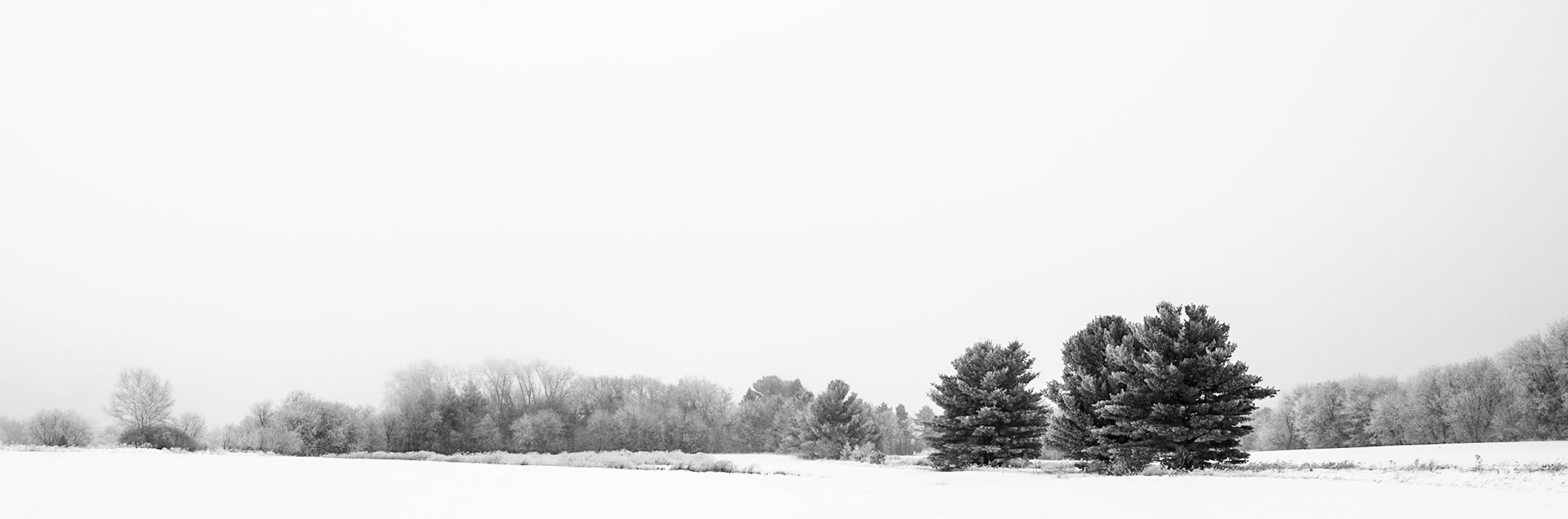 Frost and Treeline