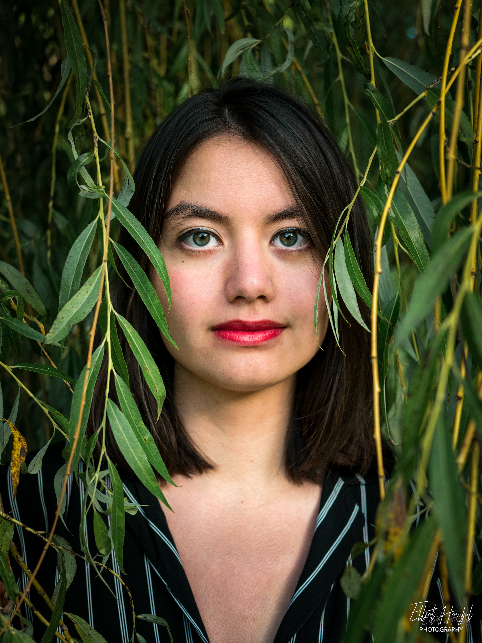 Portrait vertical 2