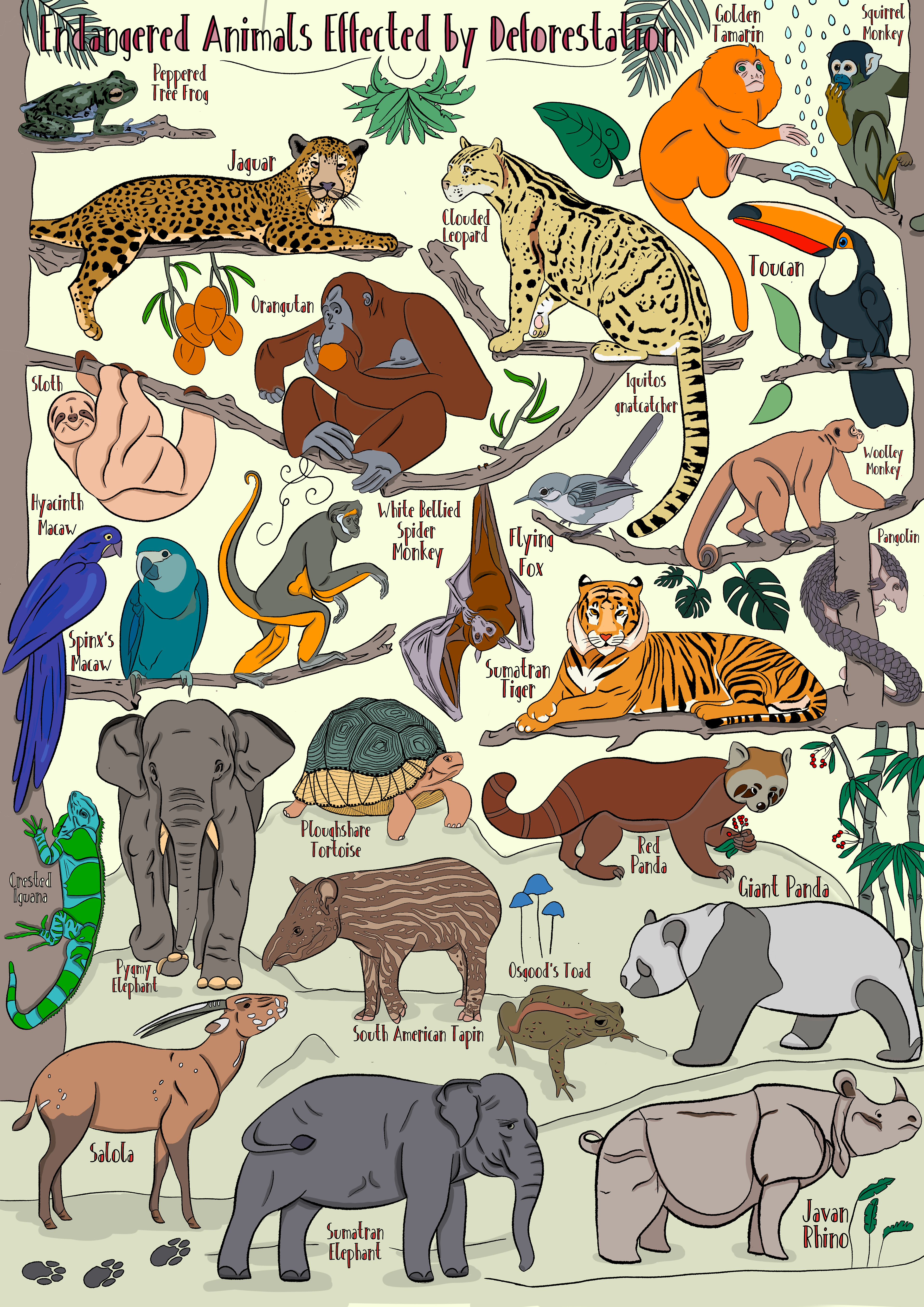 Lilians Studio - Deforestation A0 Poster