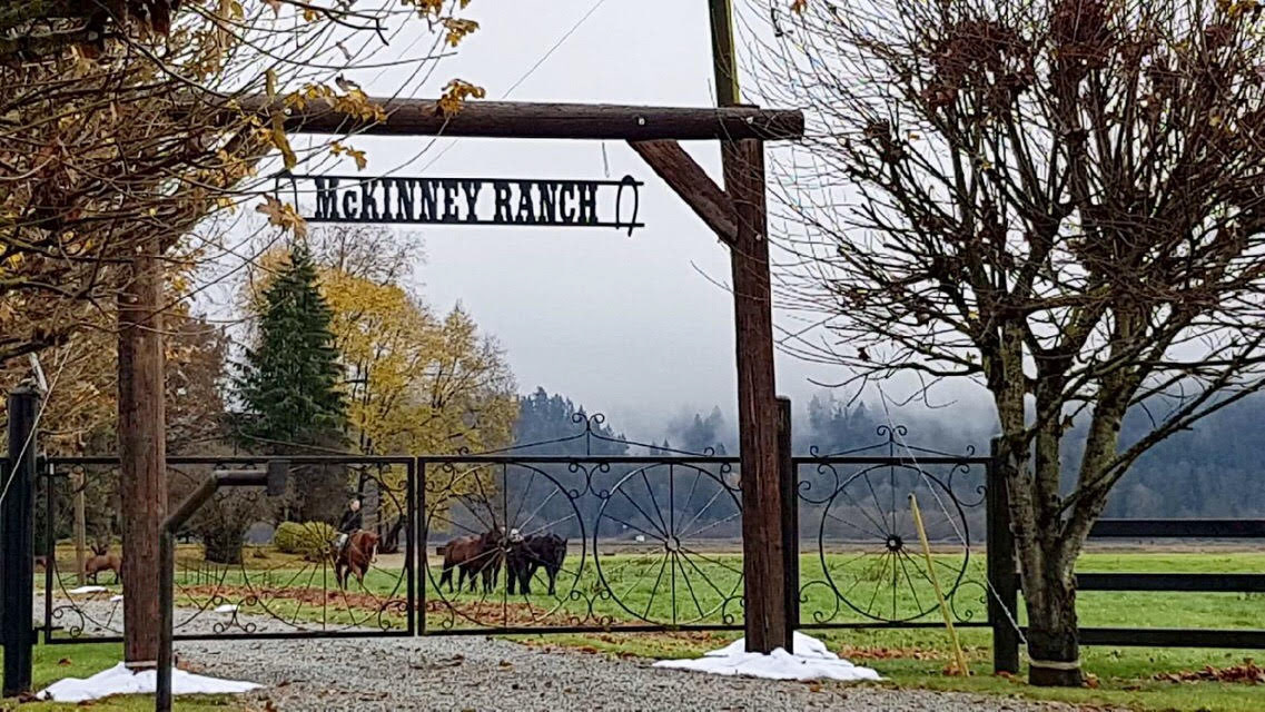McKinney Ranch Fake Wrought Iron Sign