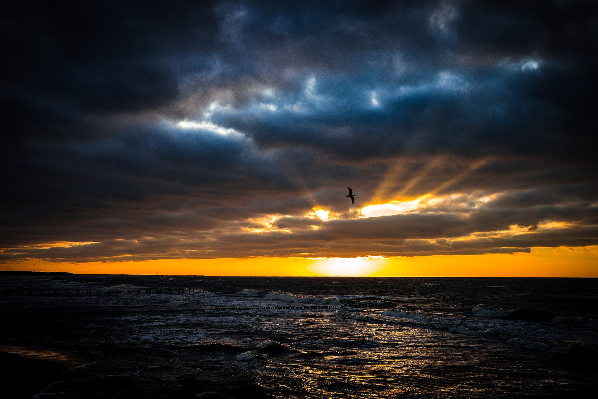 Zingst, Mecklenburg-Vorpommern, Germany