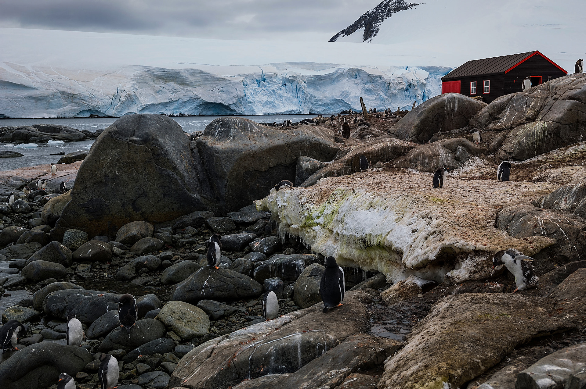 Antarktica