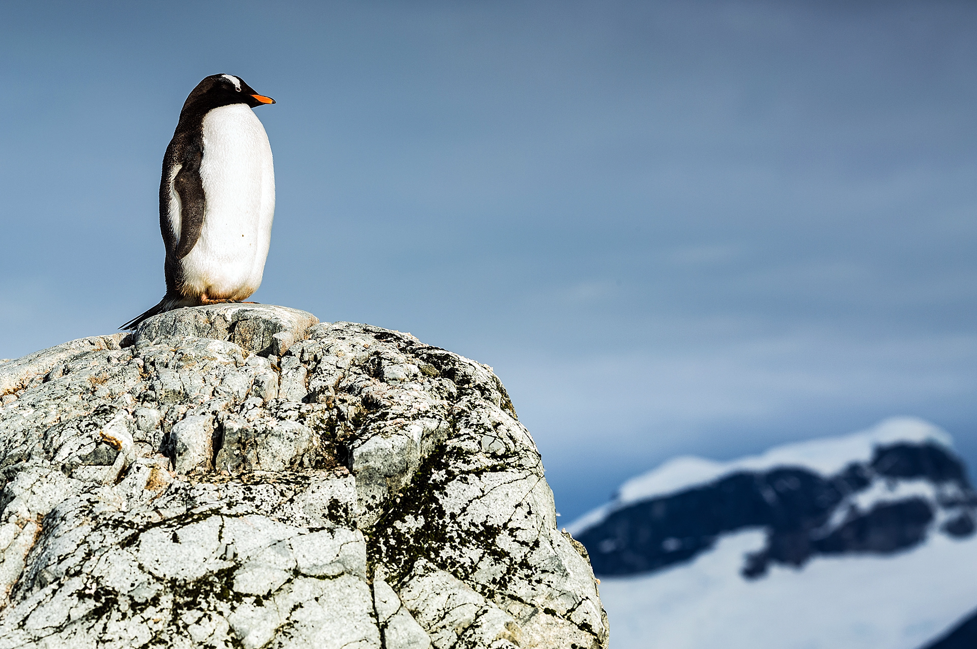 Antarktica