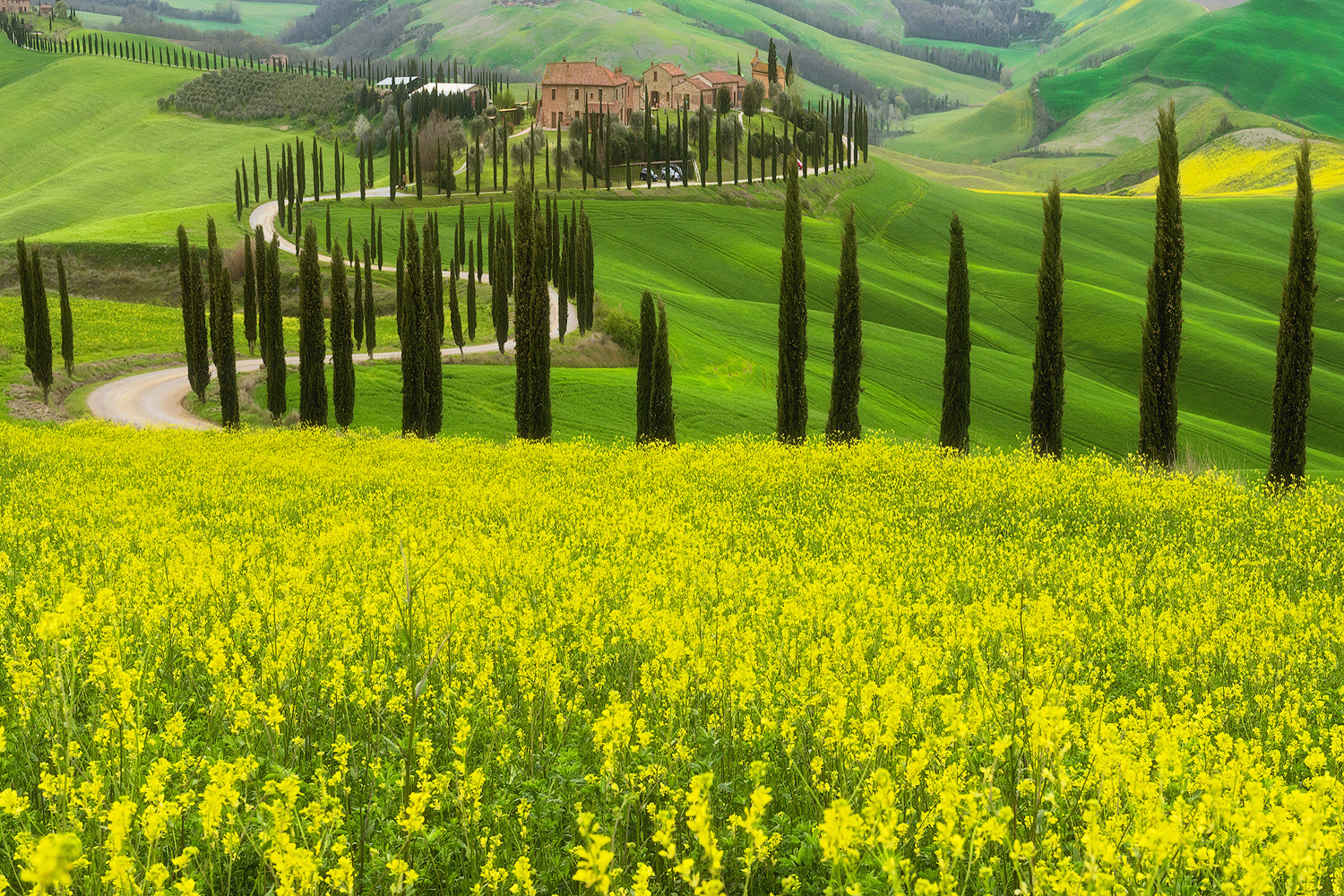 Val d'Orcia in Primavera