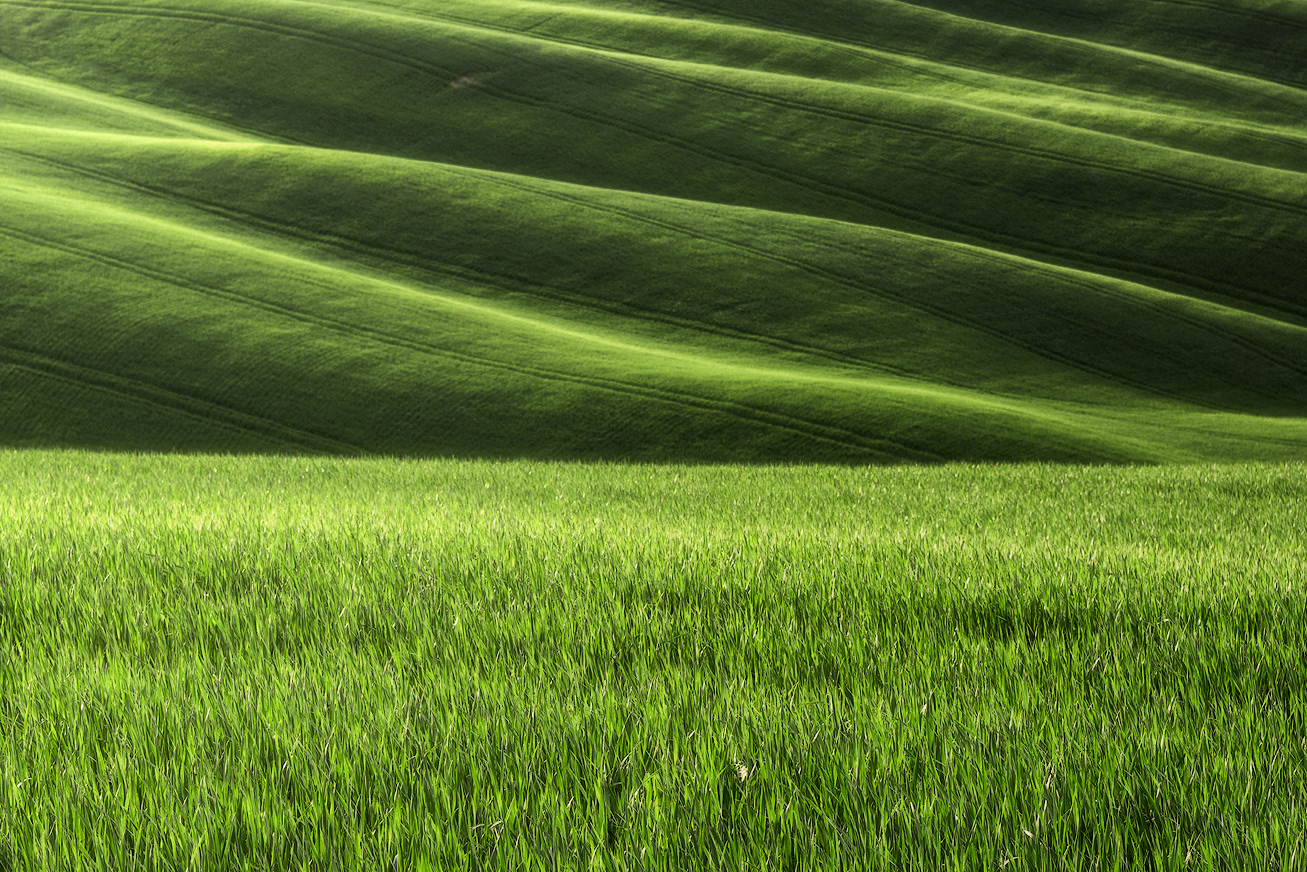 Dettaglio di paesaggio della Val'd'Orcia