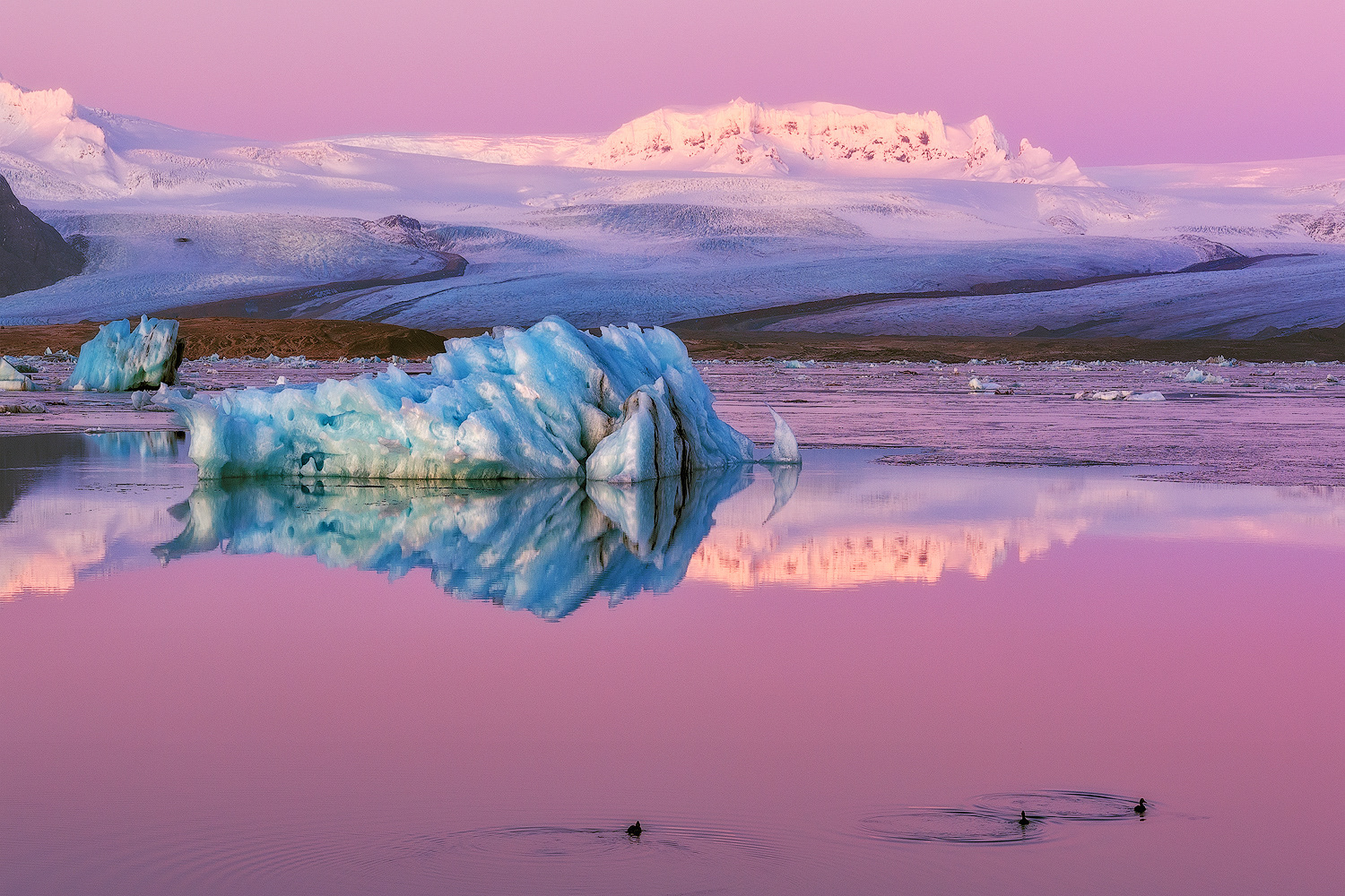 Laguna glaciale di Jökulsárlón