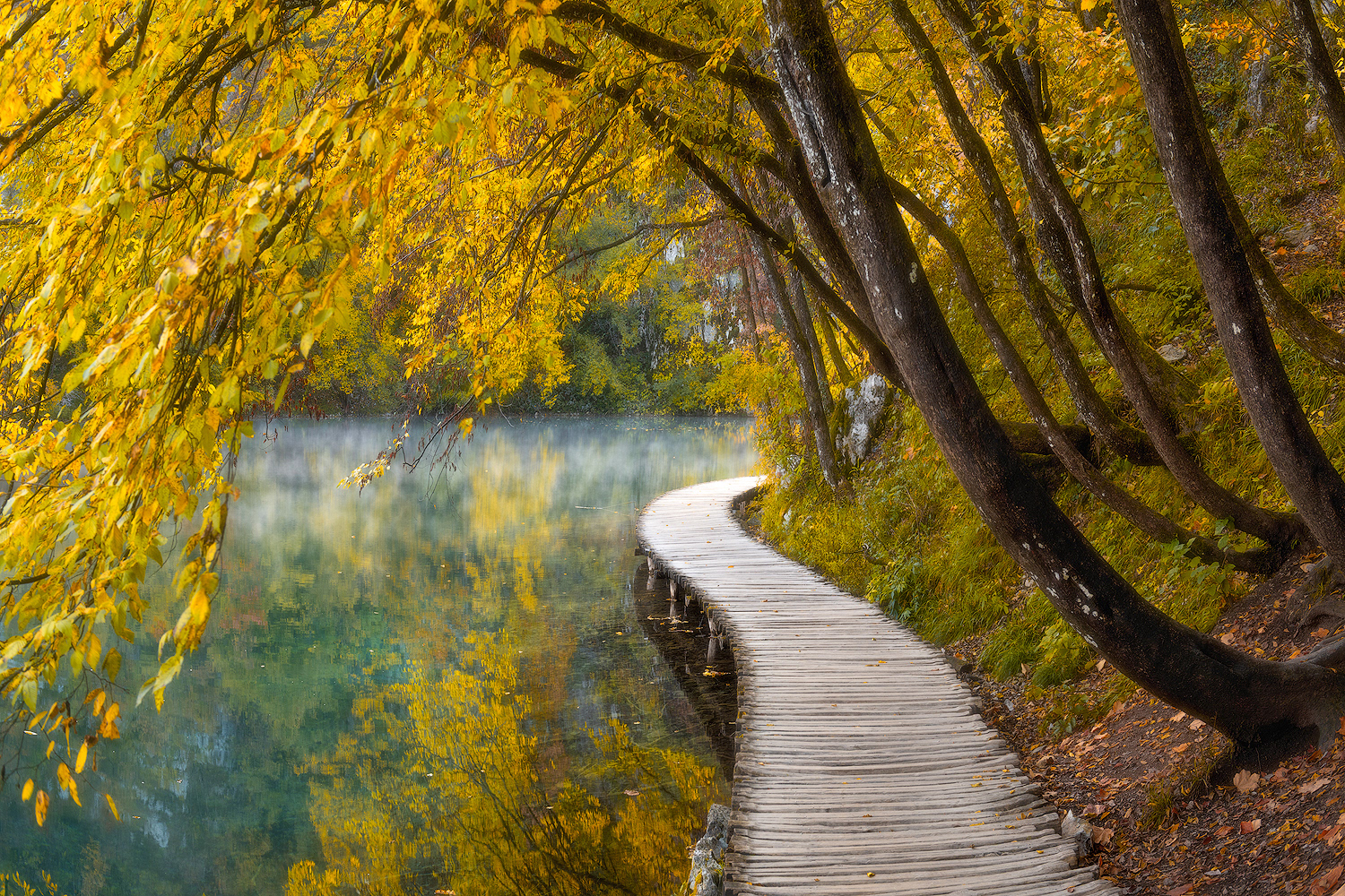 Passerella in legno tra gli alberi ai Laghi di Plitvice in autunno, Croazia