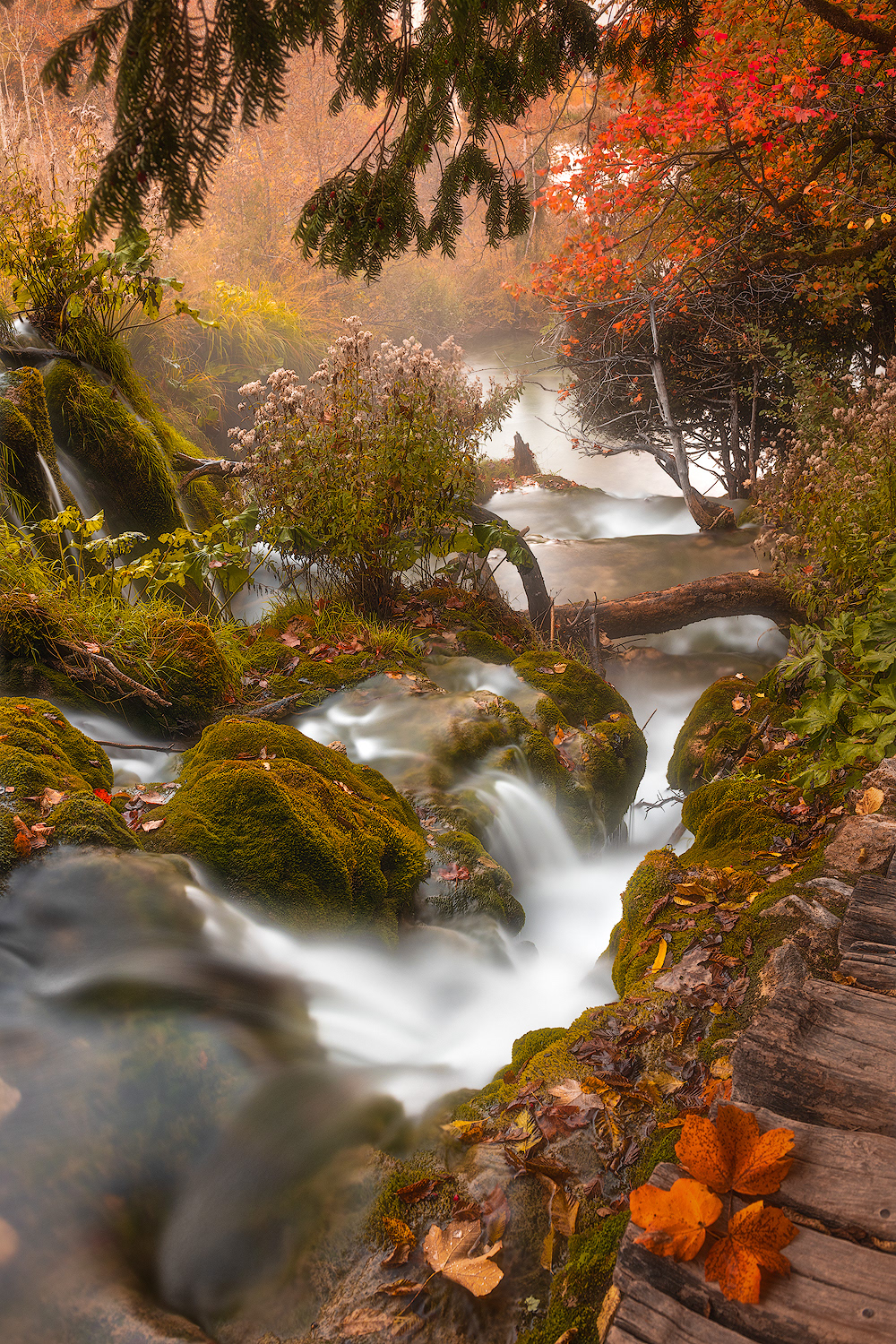 autunno ai Laghi di Plitvice, Croazia