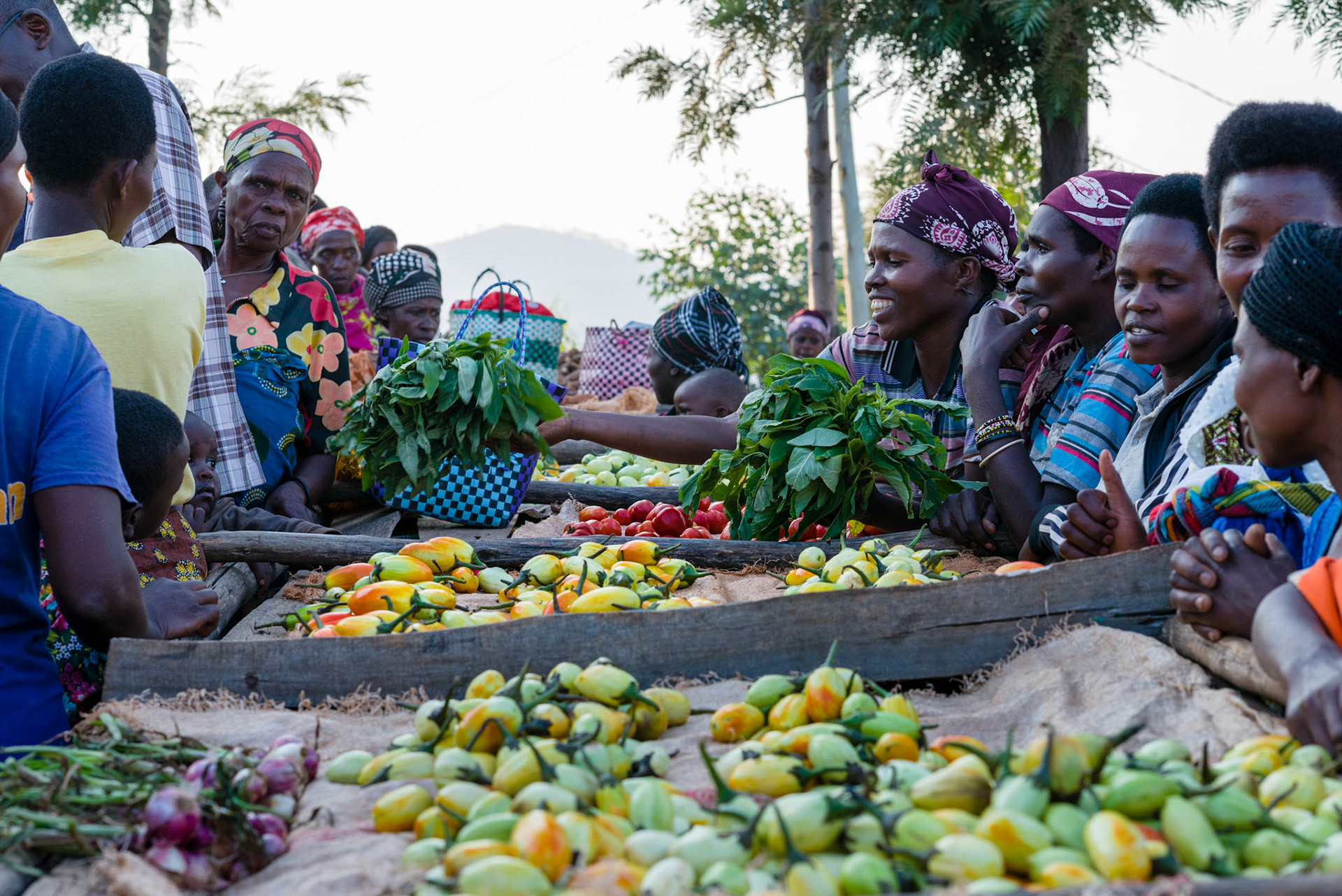 The Bwama Cell market. The women from the self-help groups sell the produce from their collective garden here.
