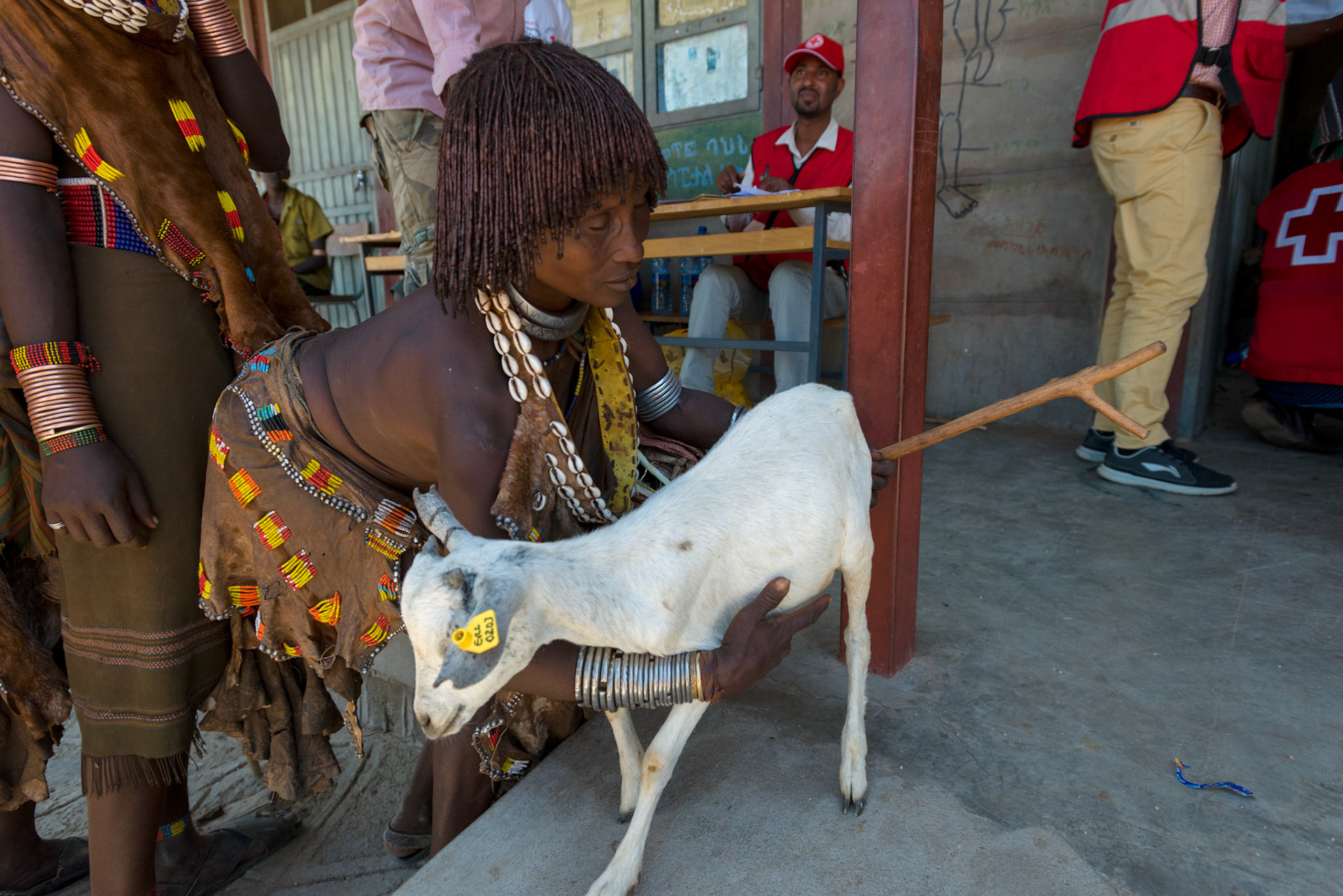 A Hamer woman, Daina, received a goat after it has been been checked, vaccinated and ear-tagged.
Daina is a widow with six children.
The goat has passed health check and has been vaccinated.