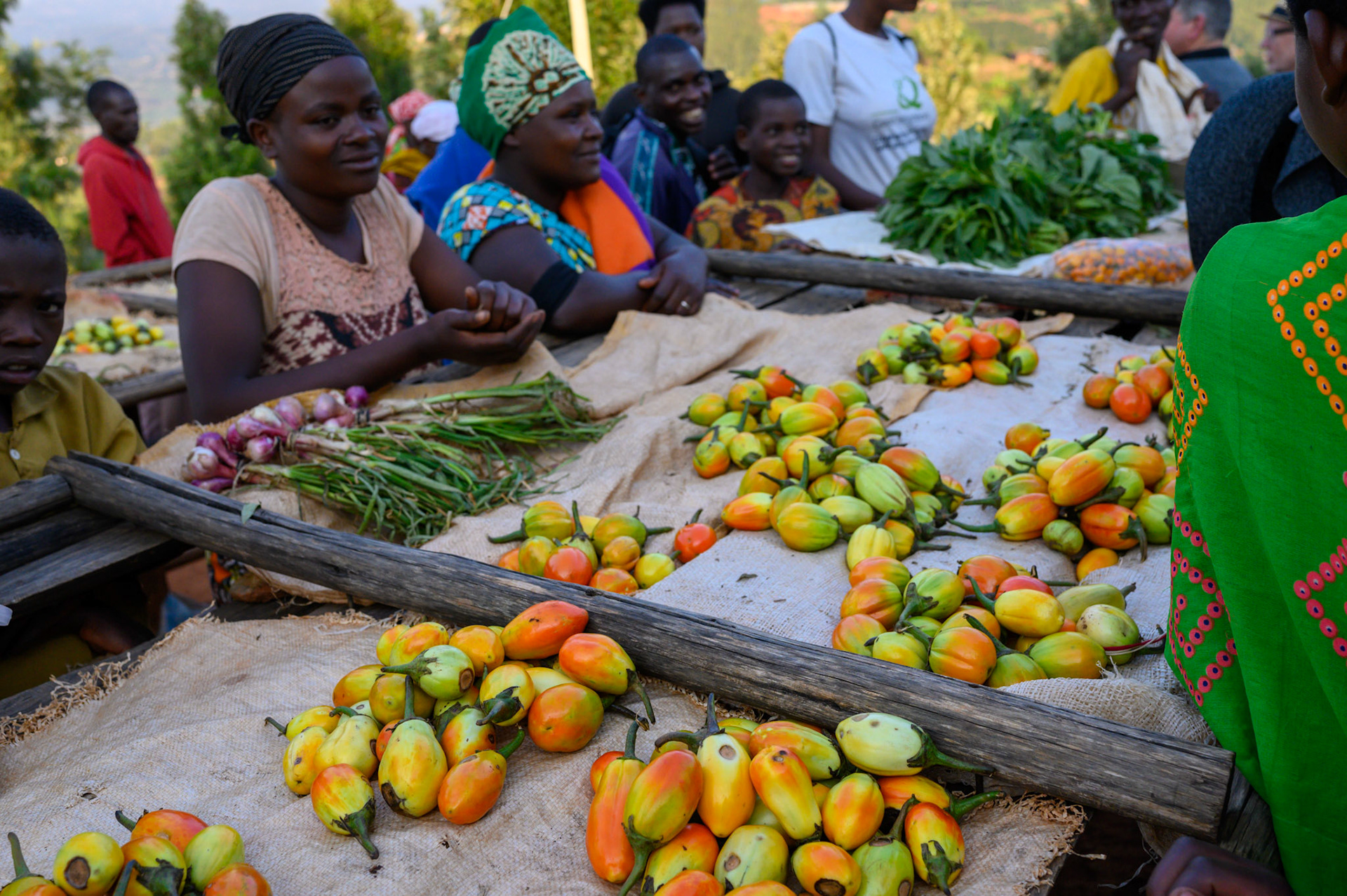 The Bwama Cell market. The women from the self-help groups sell the produce from their collective garden here.