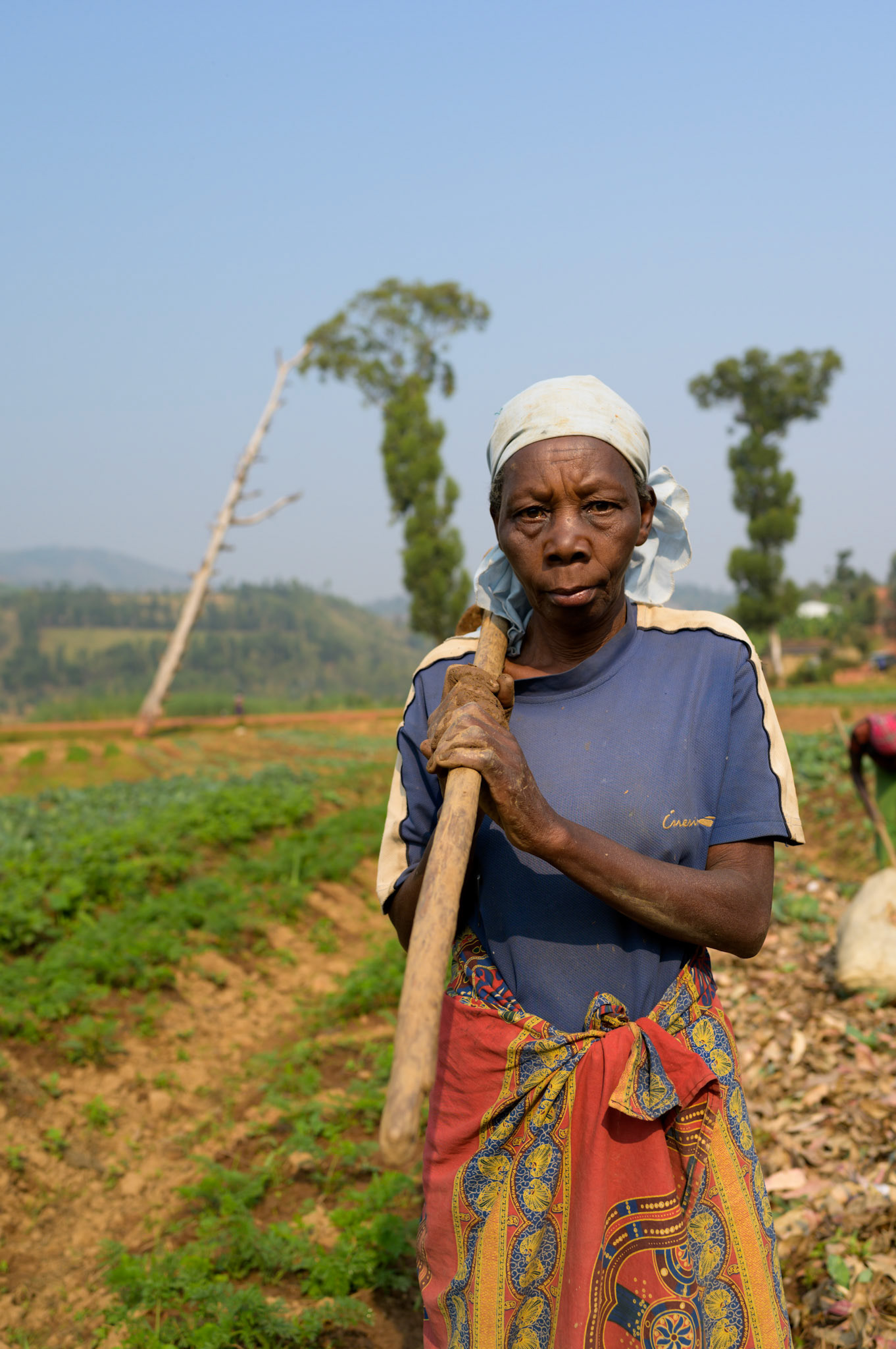Libertha in the collective garden