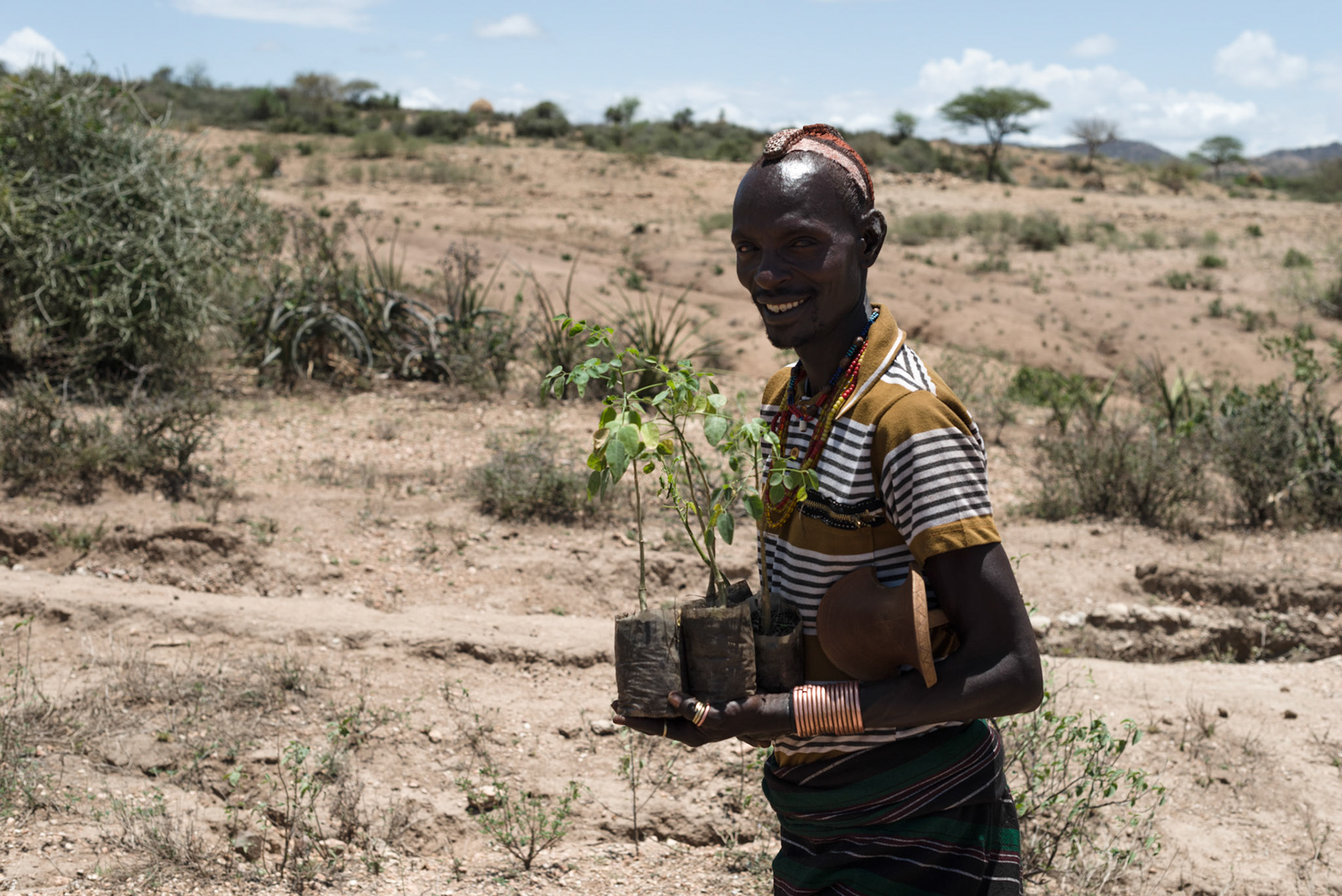 A Hamer man from the Asile kebele walks home with his moringa plants. The seed pods from moringa trees are used for food and as a cash crop.