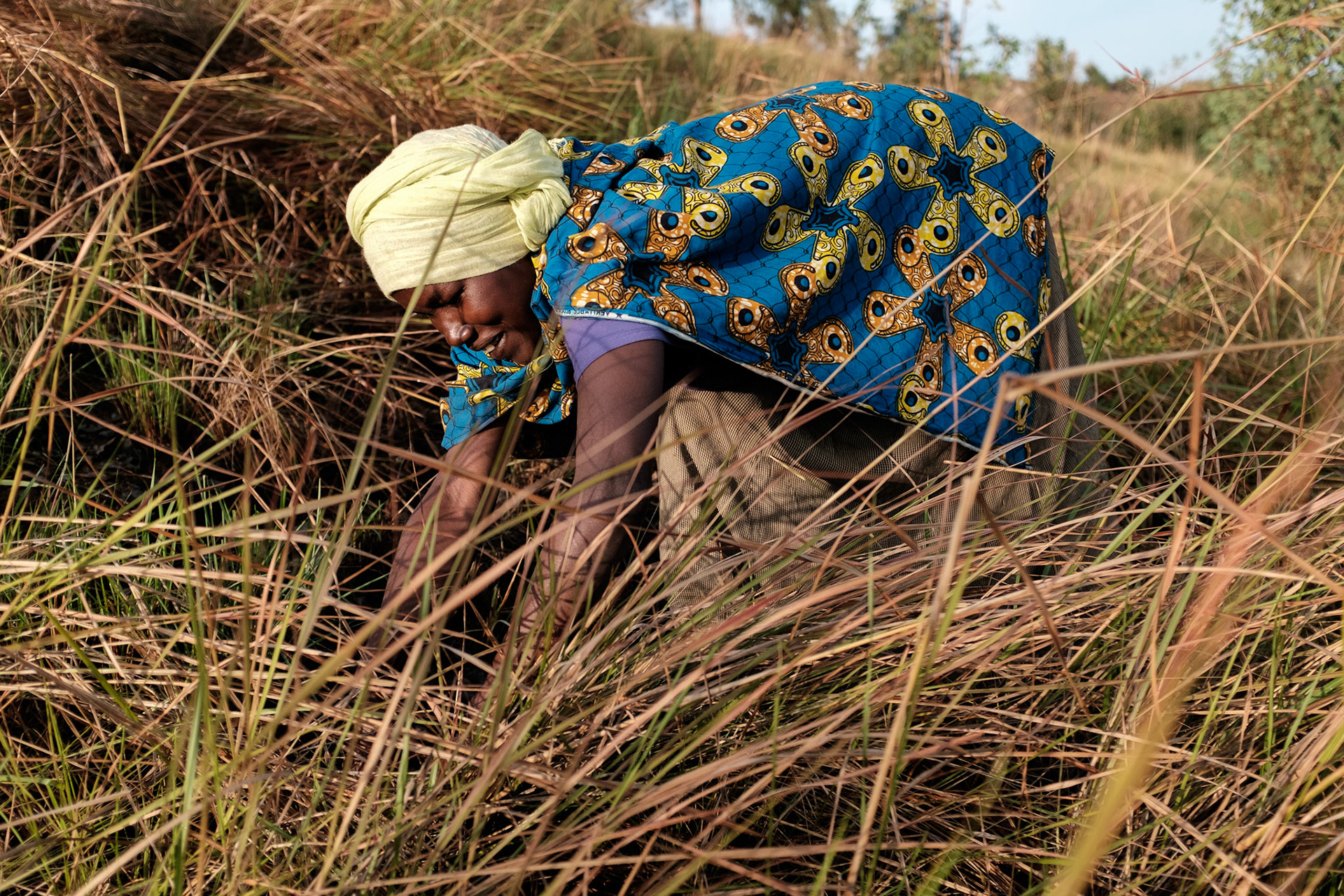 Immaculate cutting grass on a hillside near the village.
The grass will be thrown into the cow's pen to mix with manure, and then placed into a pit. The grass and manure mixture will compost and is used as a rich fertilser.