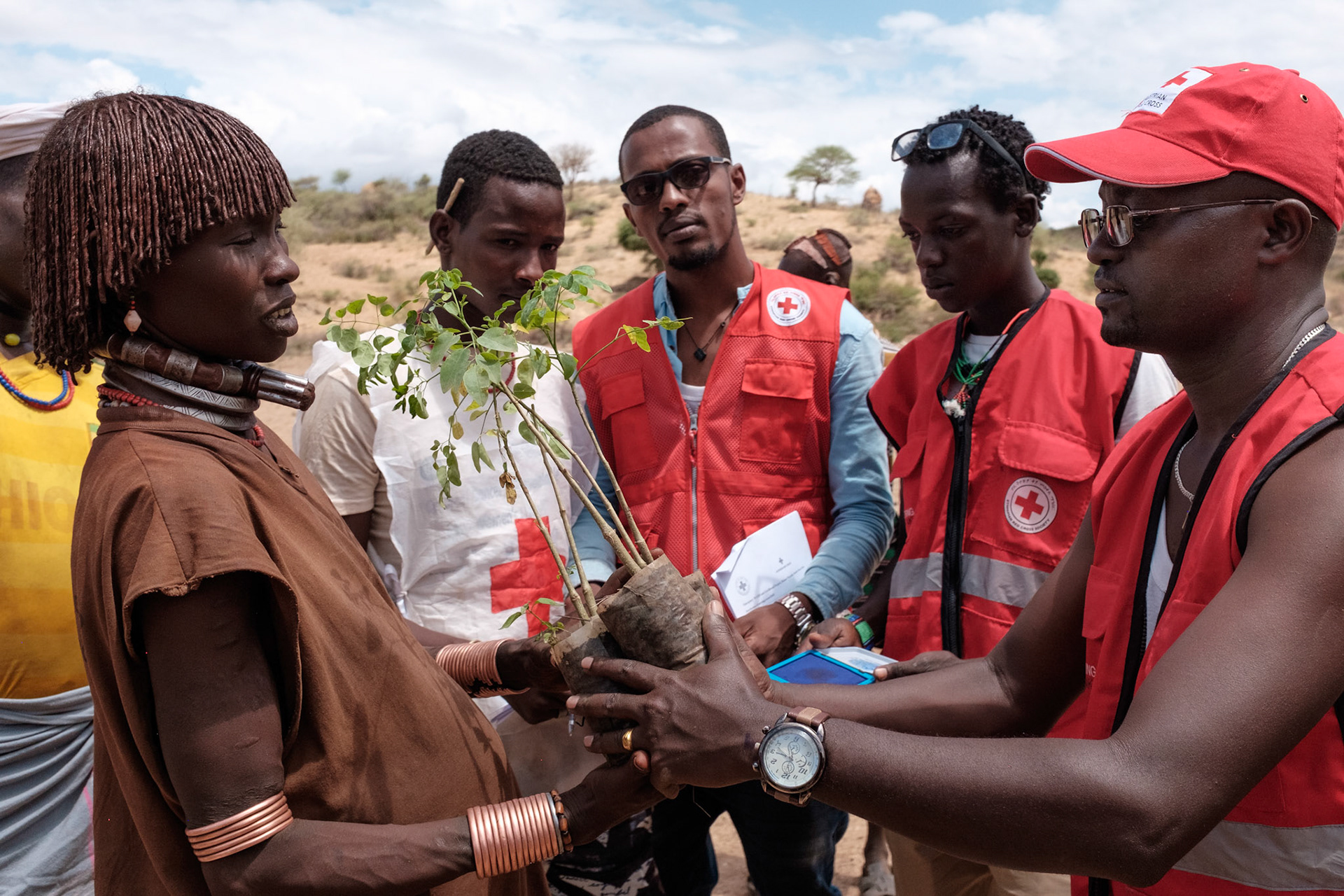 A Hamer woman from the Asile kebele her moringa plants from Akan Atana, the South Omo project coordinator.