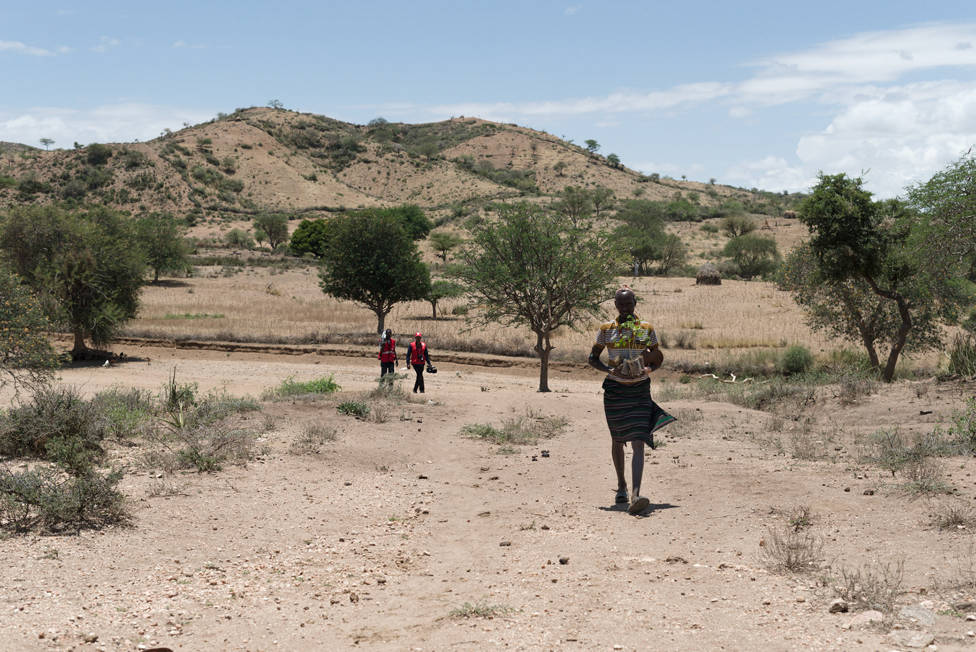 A Hamer man from the Asile kebele walks home with his moringa plants. The seed pods from moringa trees are used for food and as a cash crop.