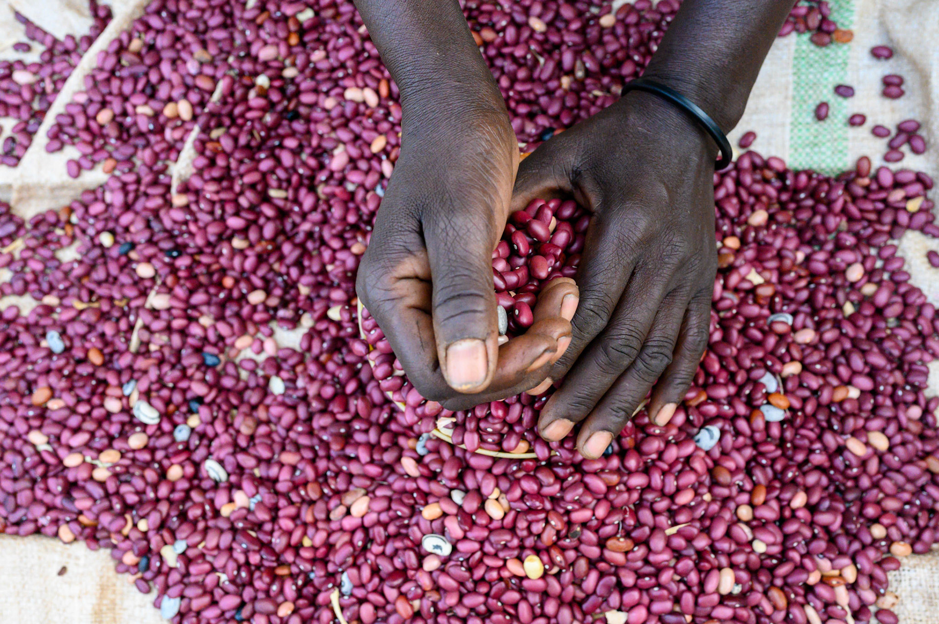 The Bwama Cell market. The women from the self-help groups sell the produce from their collective garden here.