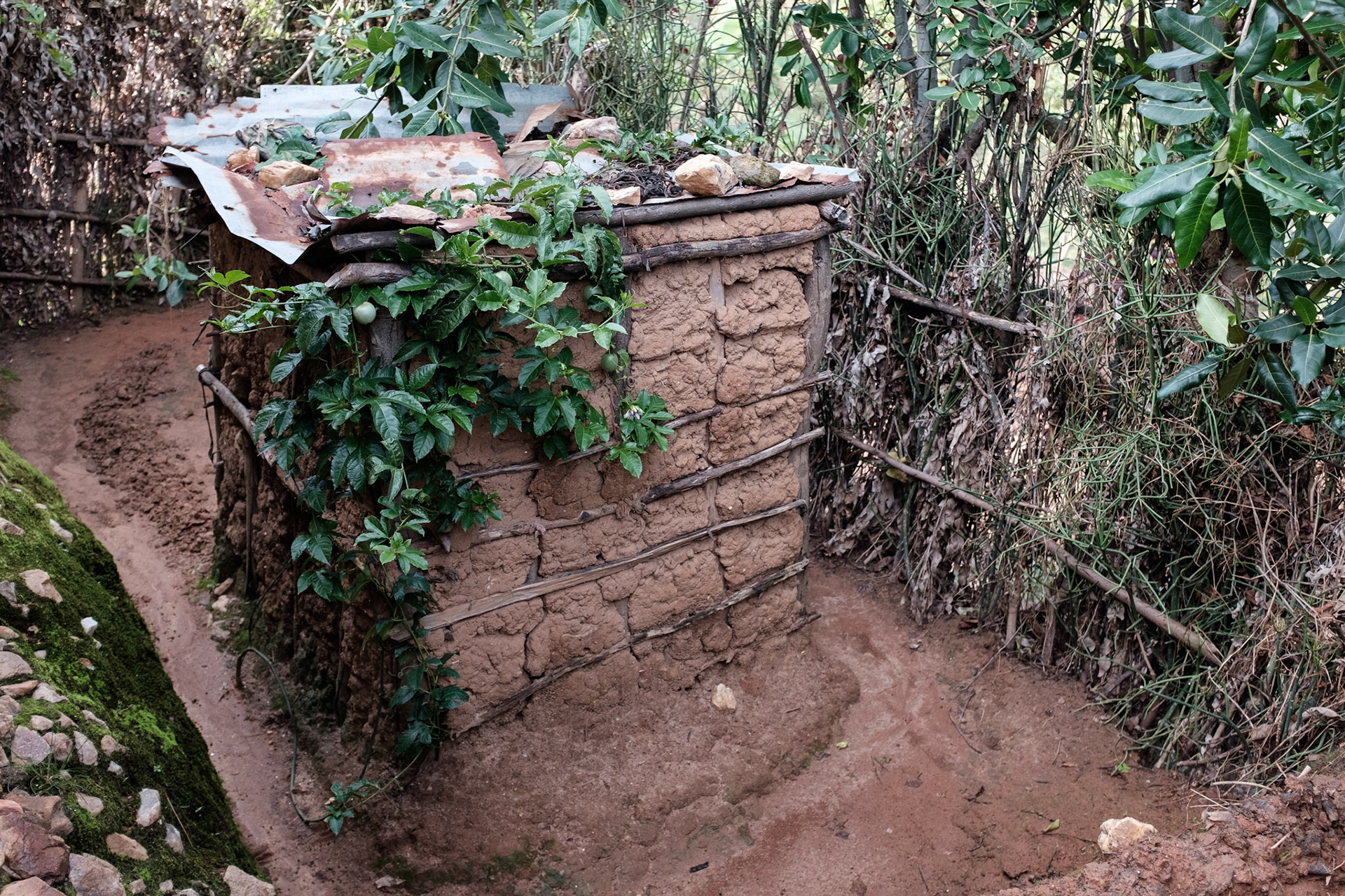 Ancille has one of the prettier toilet, draped in a passionfruit vine.