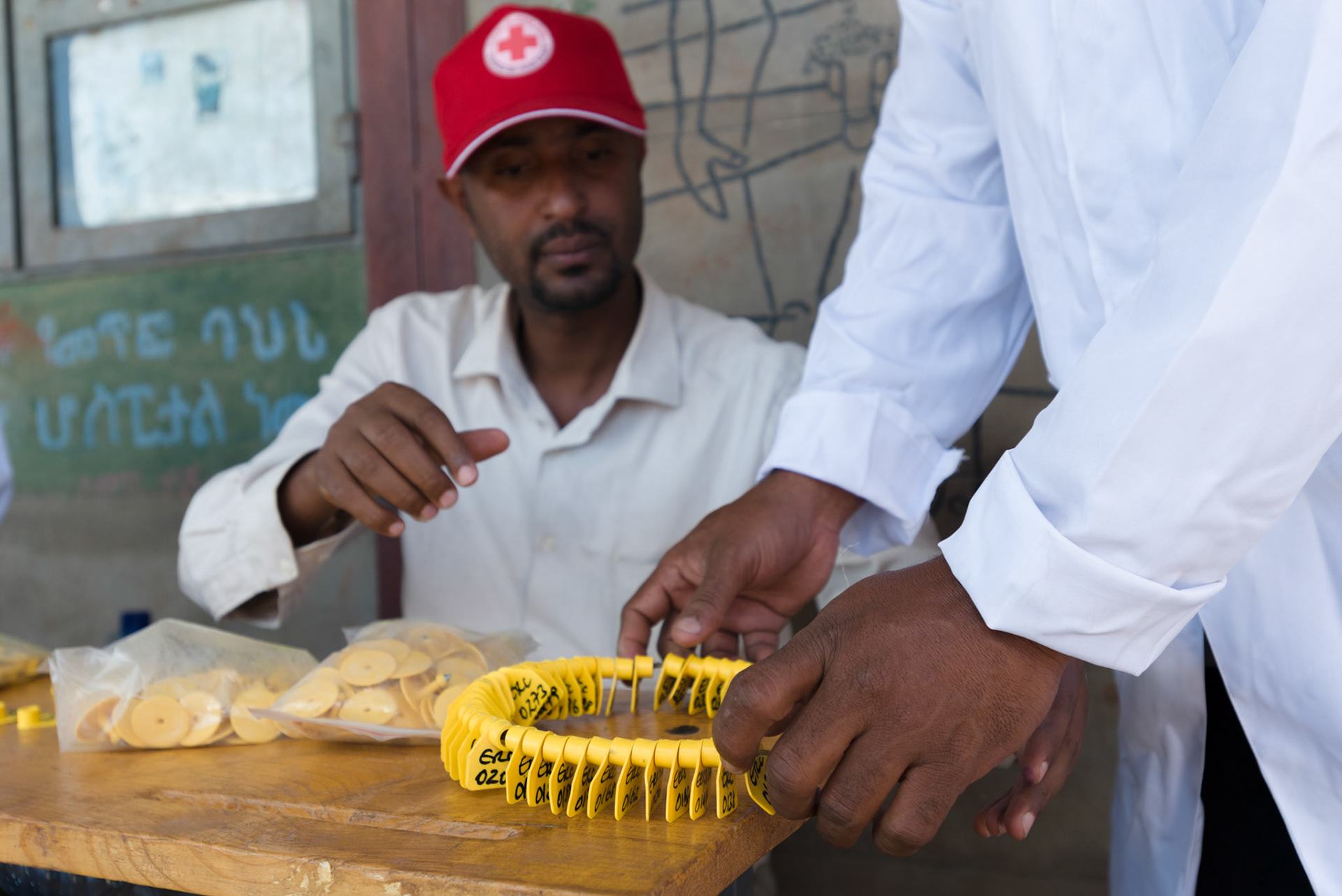 Ear-tags for registration