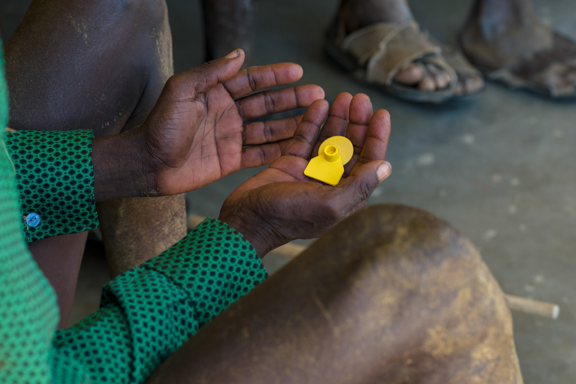 The Asile complaints committe meet with ERCS to discuss issues with previous distributions, among which were the removal the ear tags for use as ornamentation.