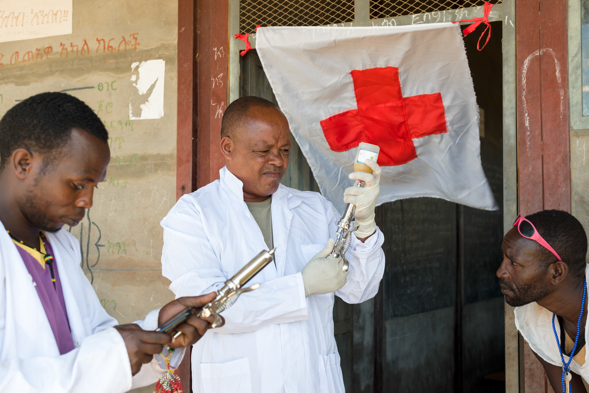 Veterinary surgeons vaccinating goats prior to distribution.