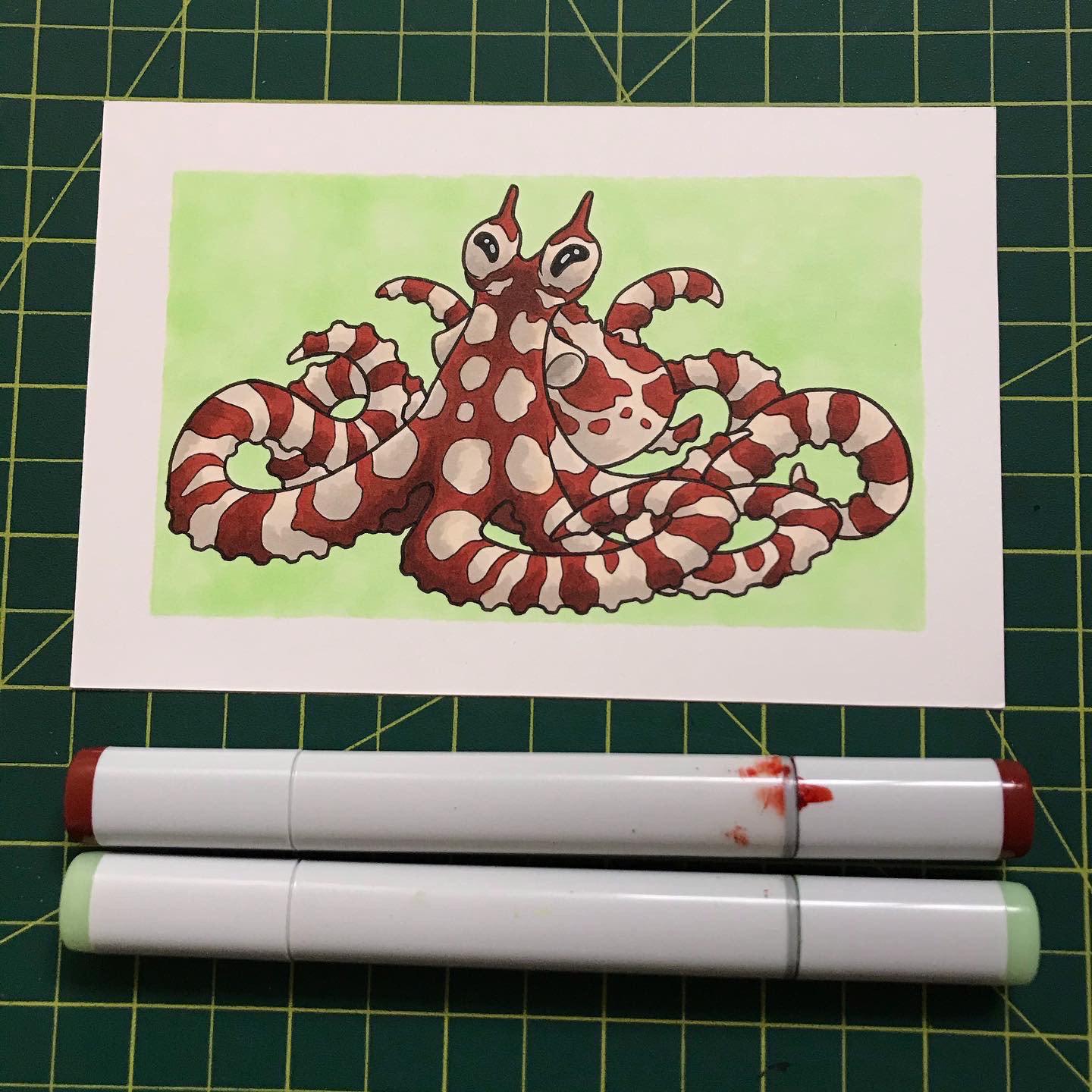 Mimic Octopus