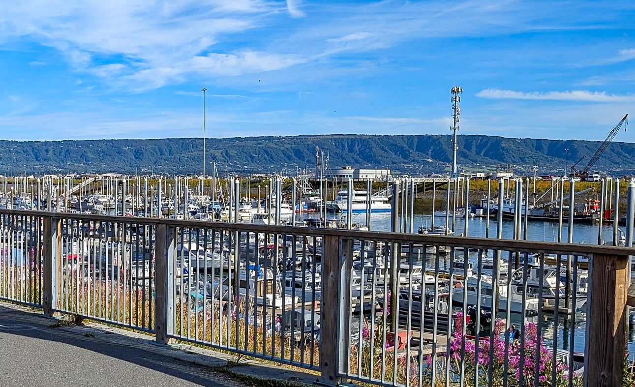 Tall Poles by Floating Docks-Large Tidal Swings