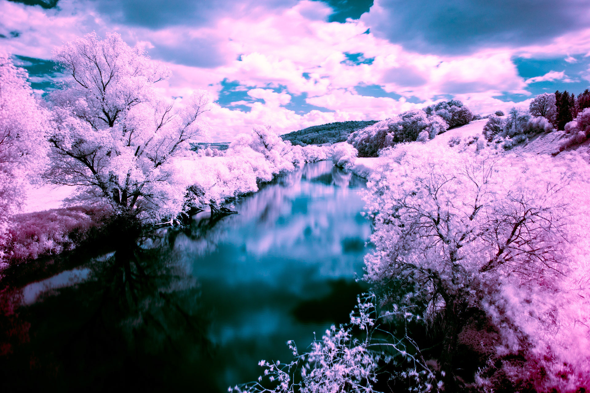 Fulda in Zakura