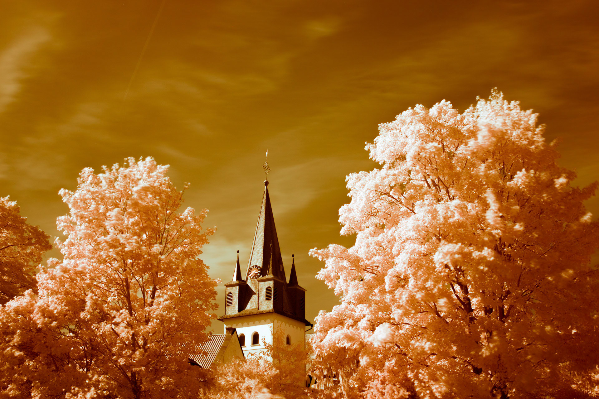 Church in Oestrich-Winkel