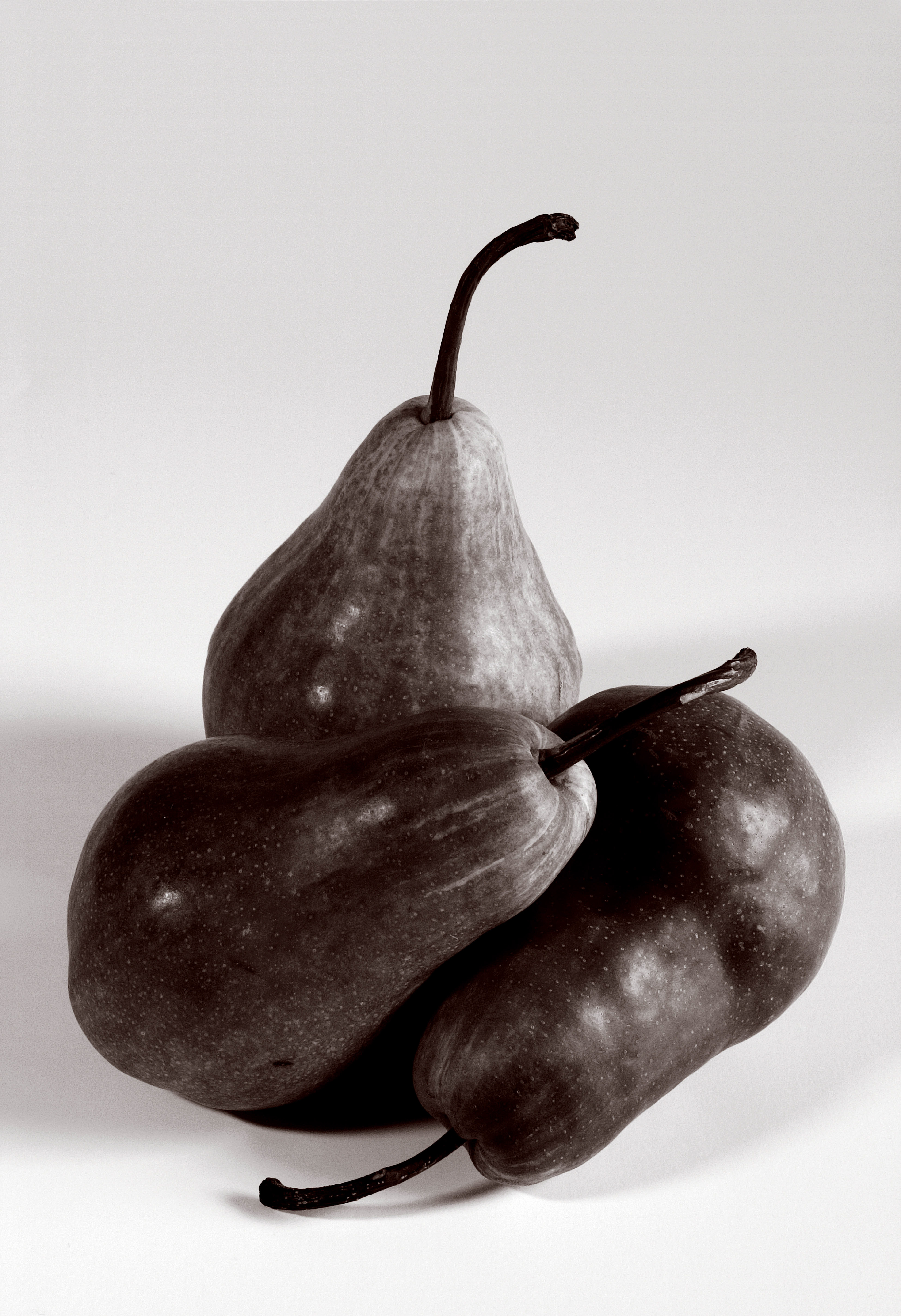 Pears in Black & White