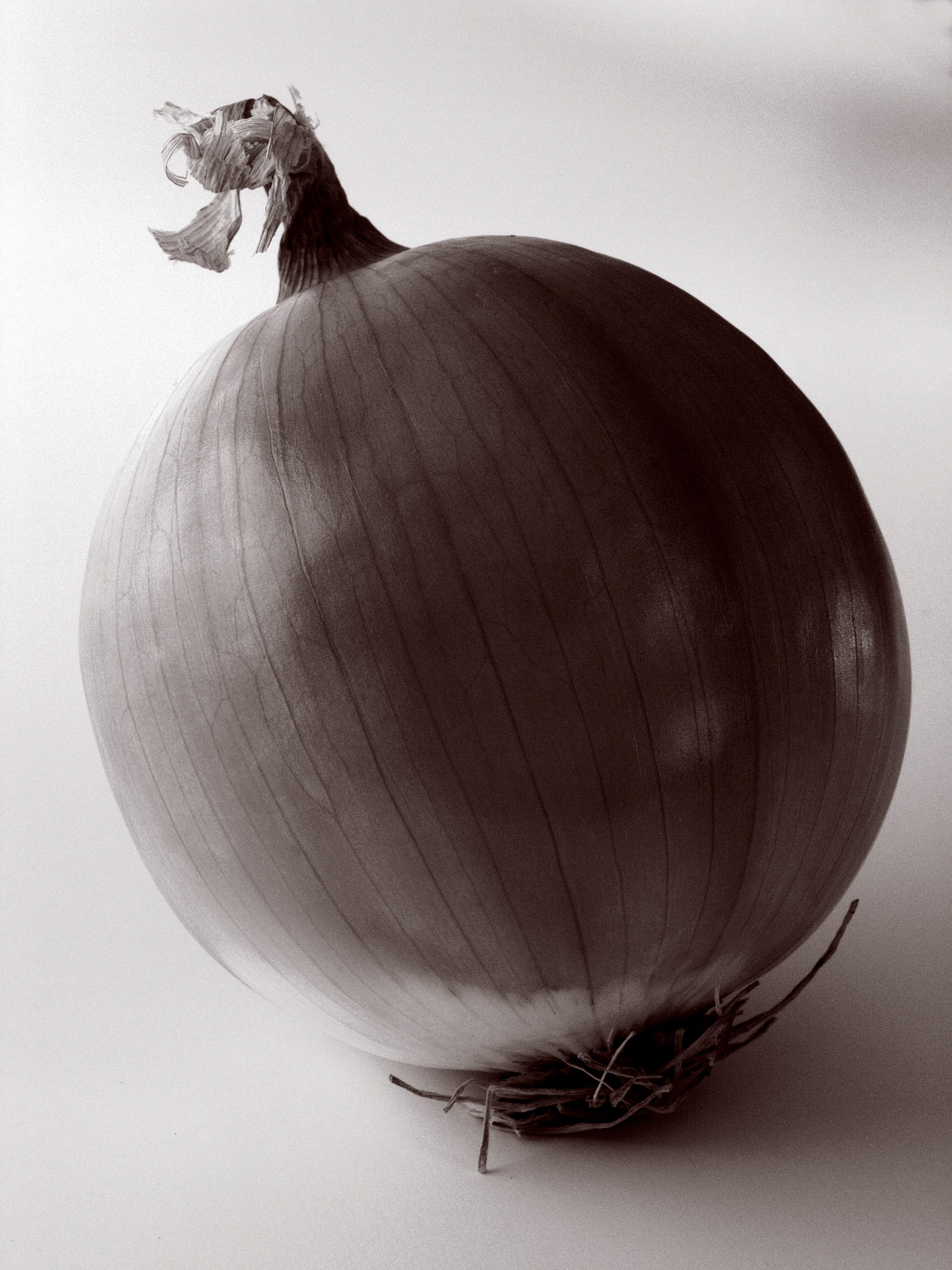 Onion
