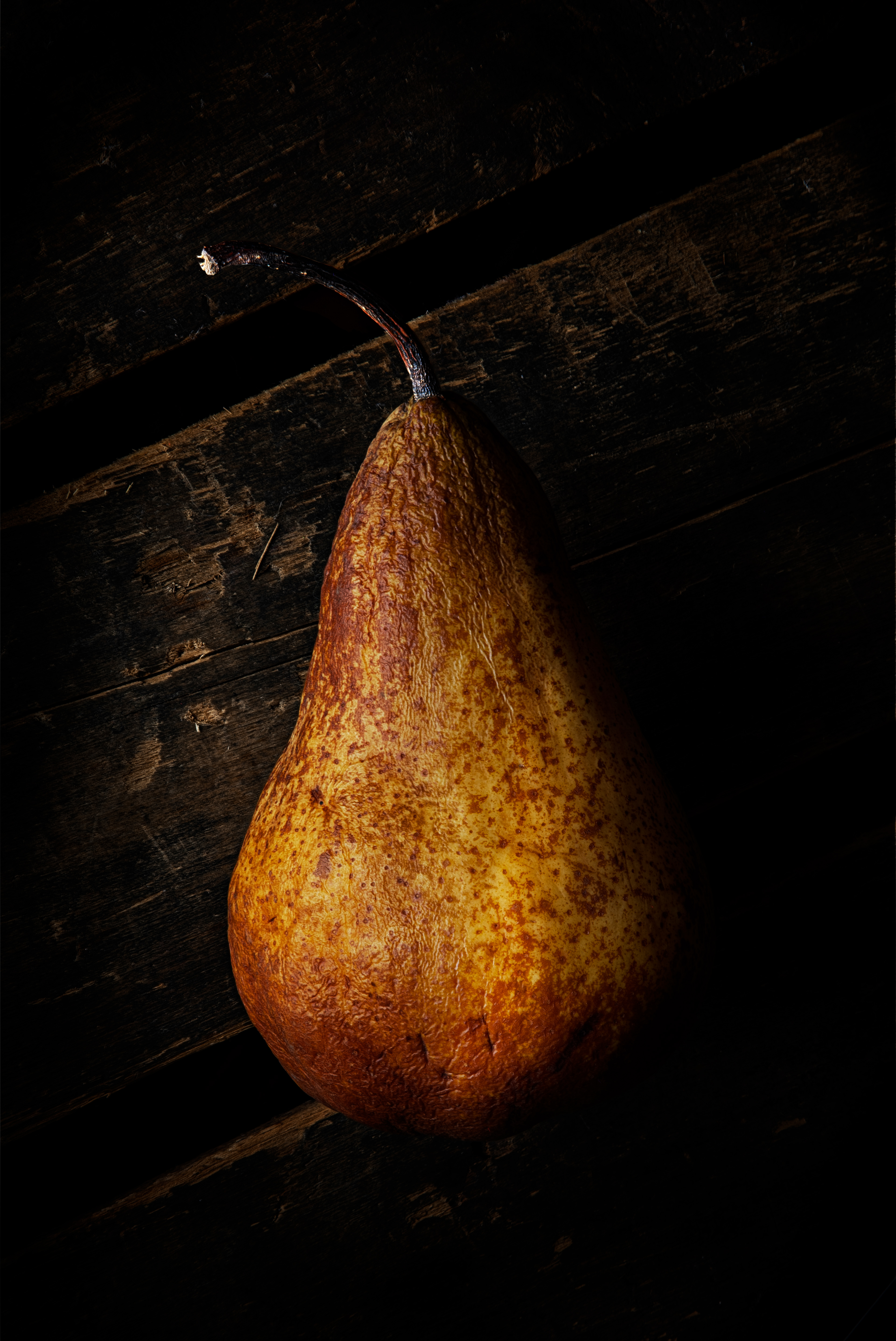 Withering Pear