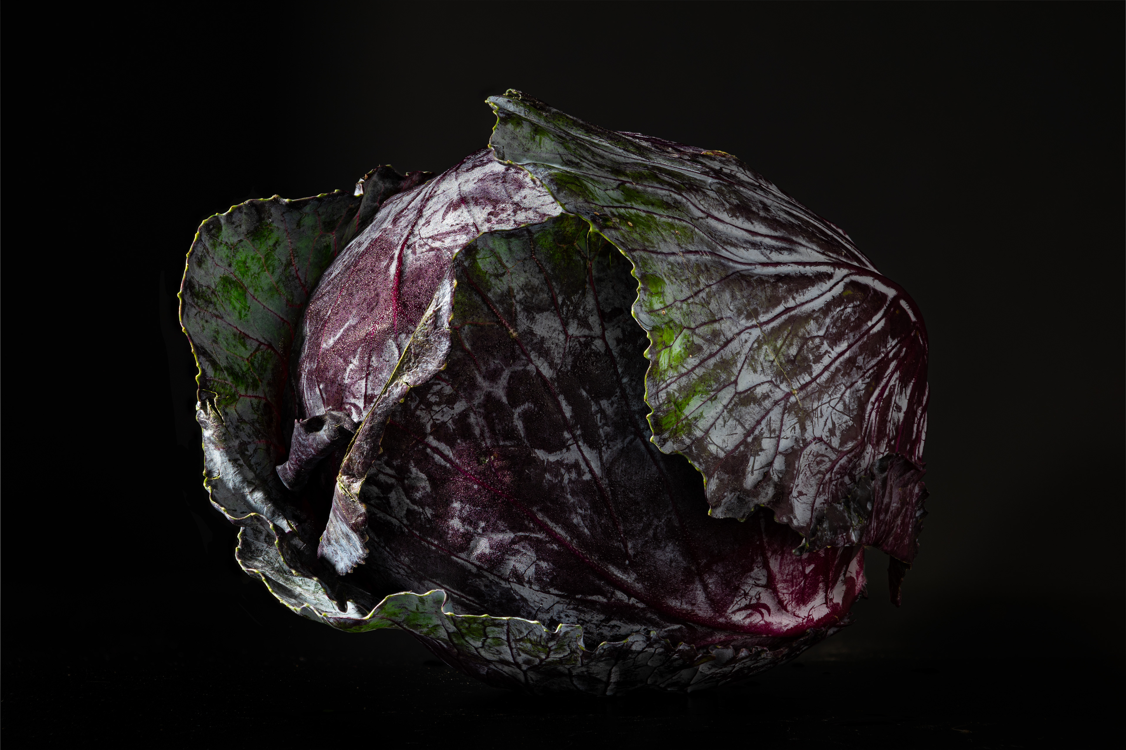 Red Cabbage
