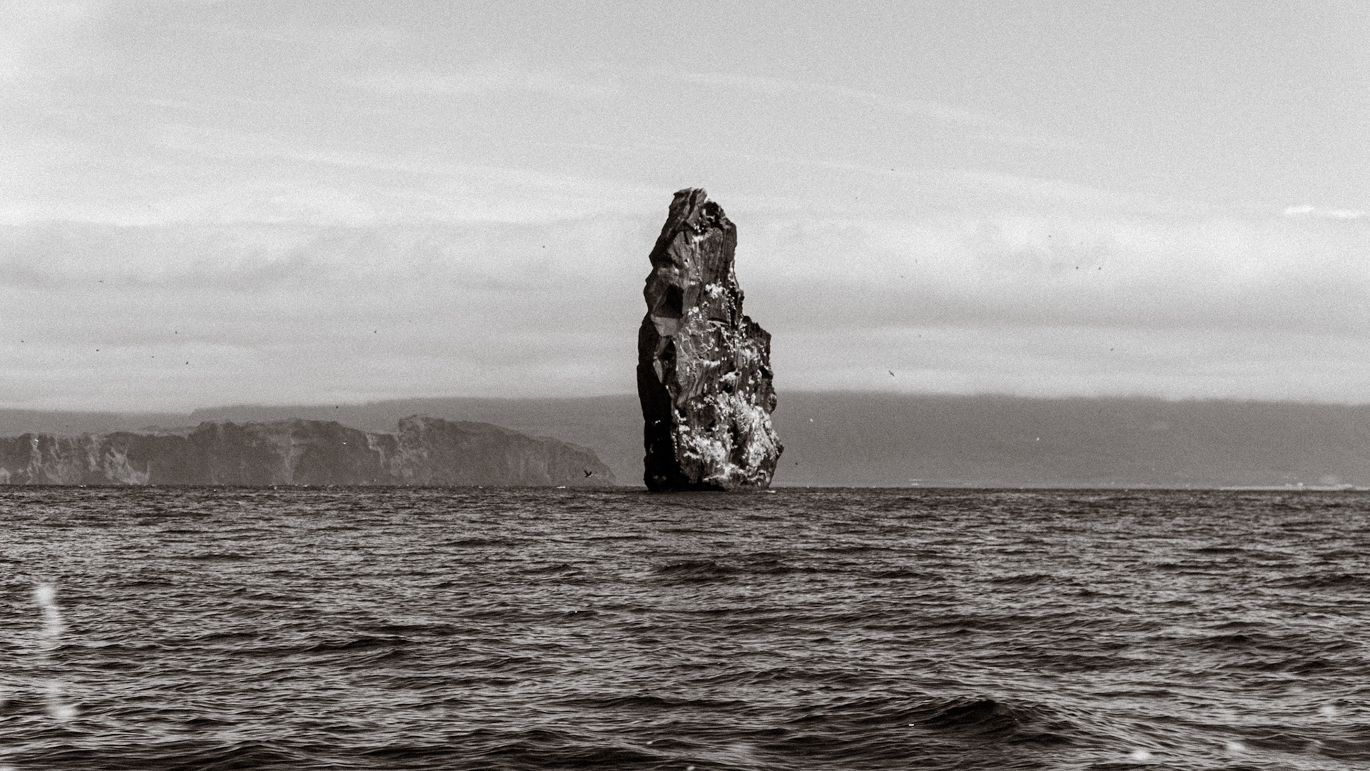 Roca
