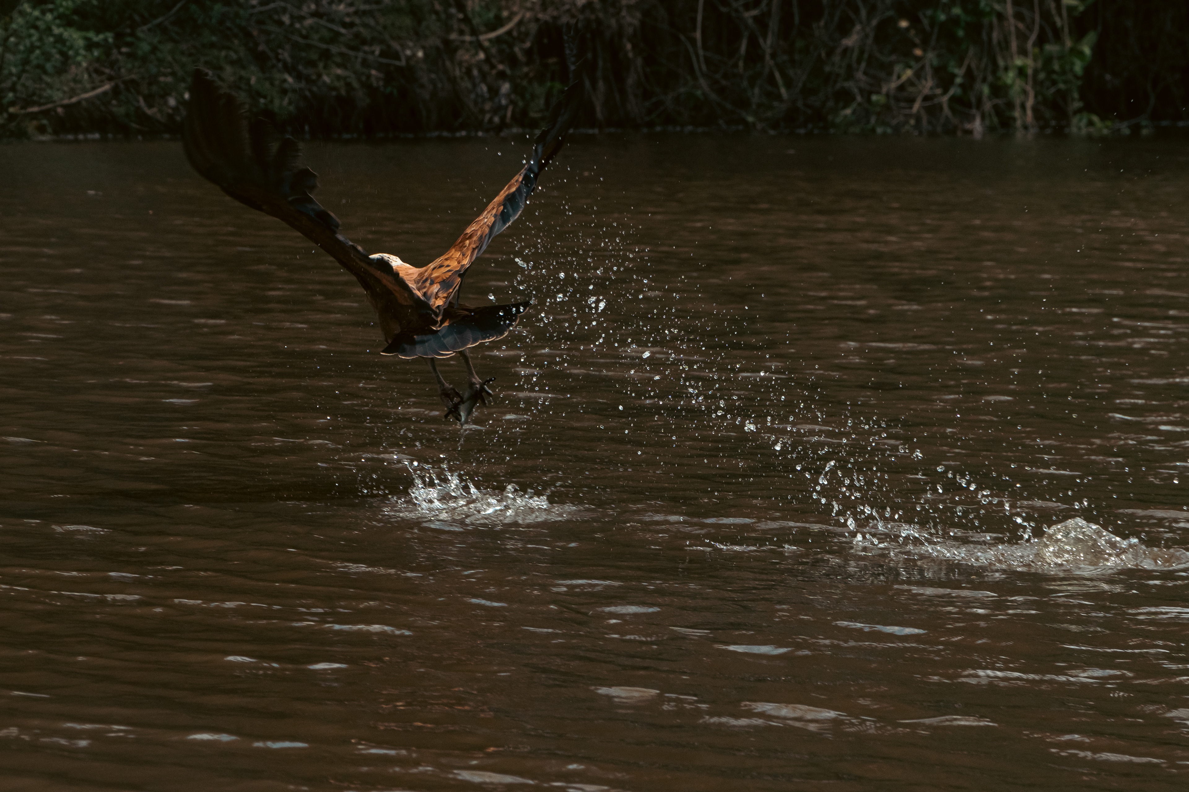 Pescando II