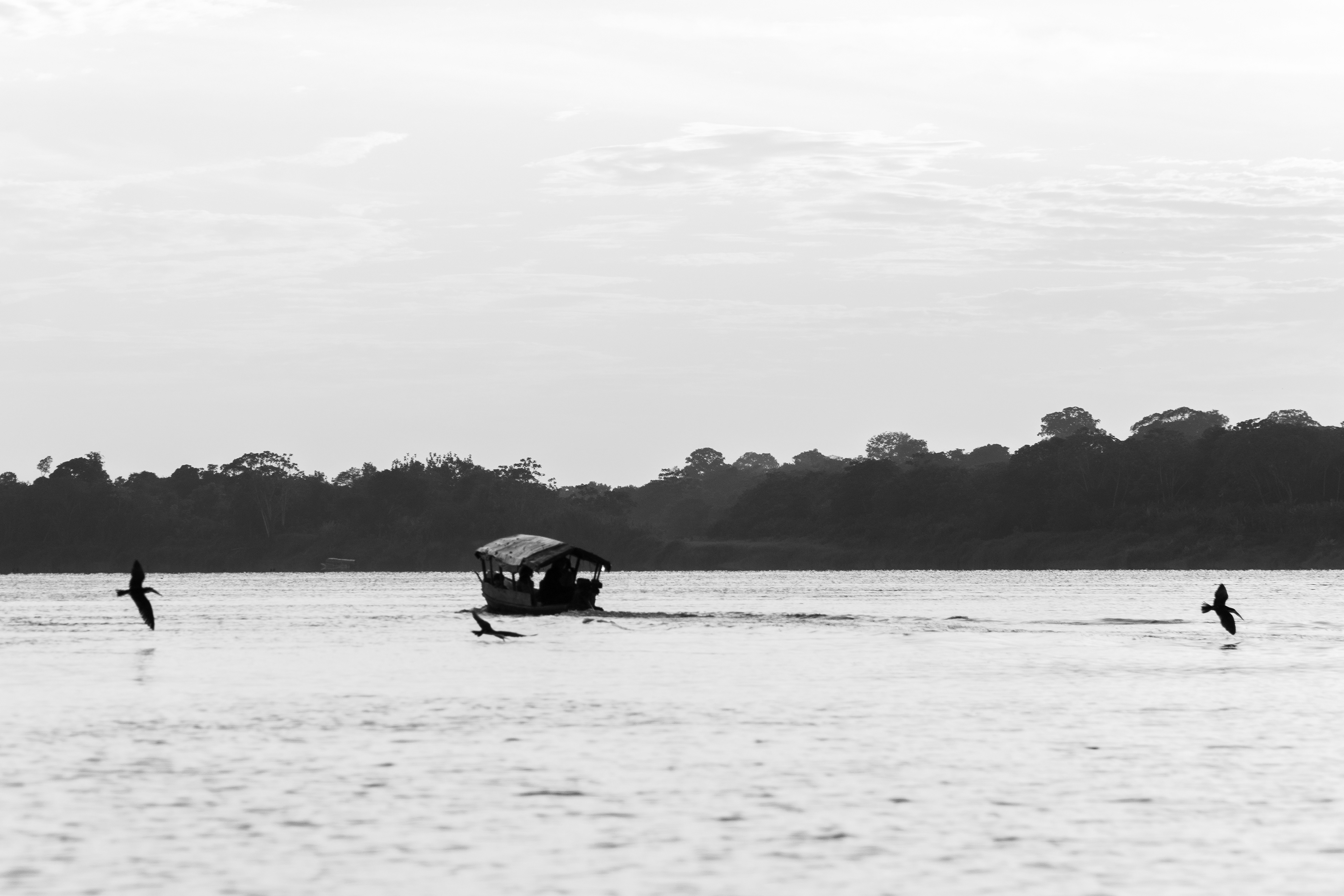 Río Amazonas