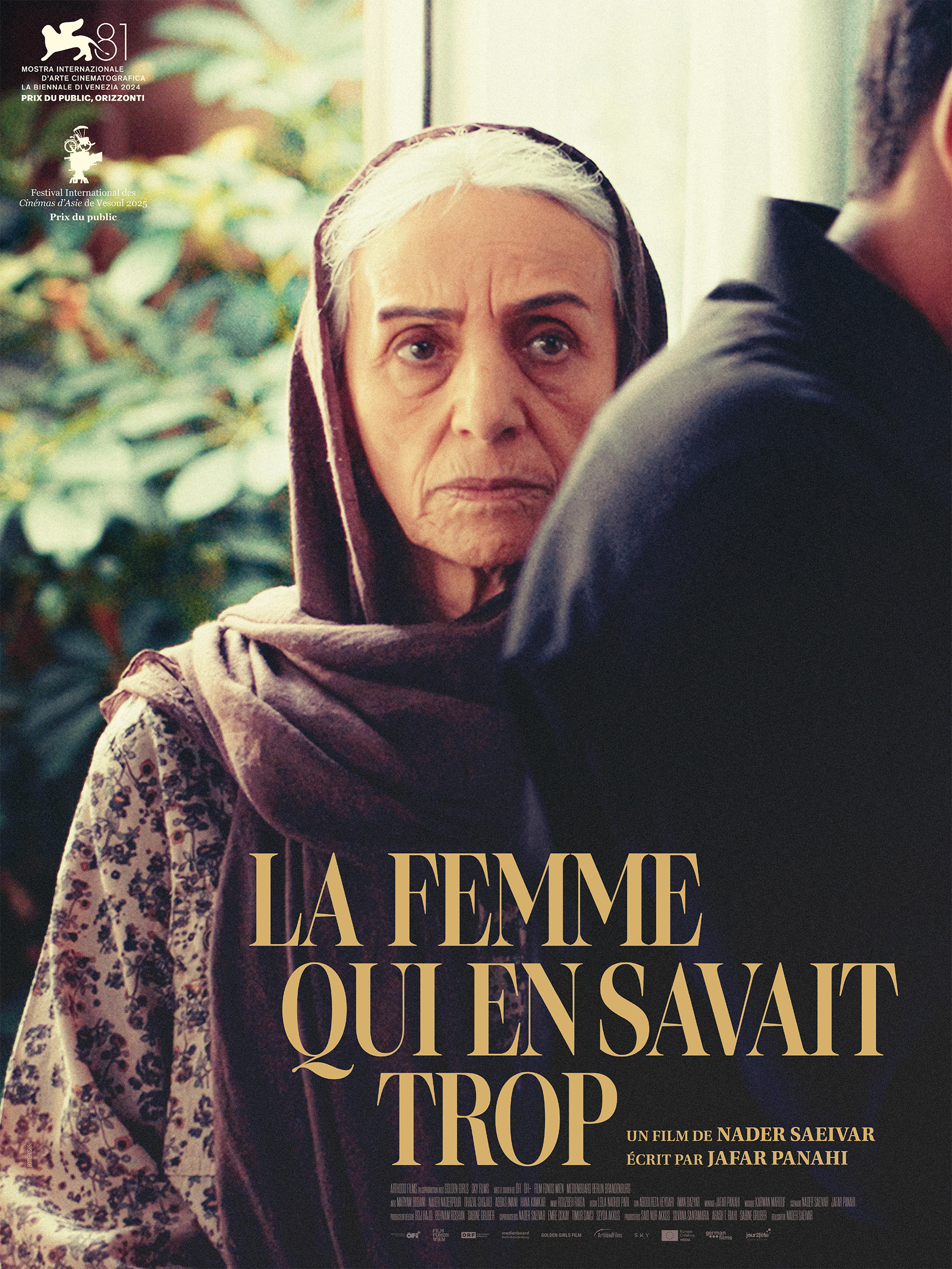 La Femme qui en savait trop, de Nader Saeivar - Affiche