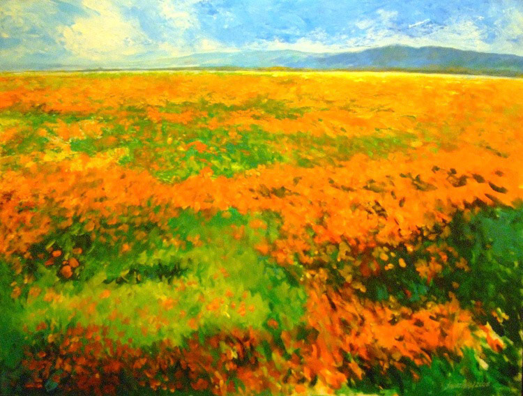 FIELD WITH TULIPS